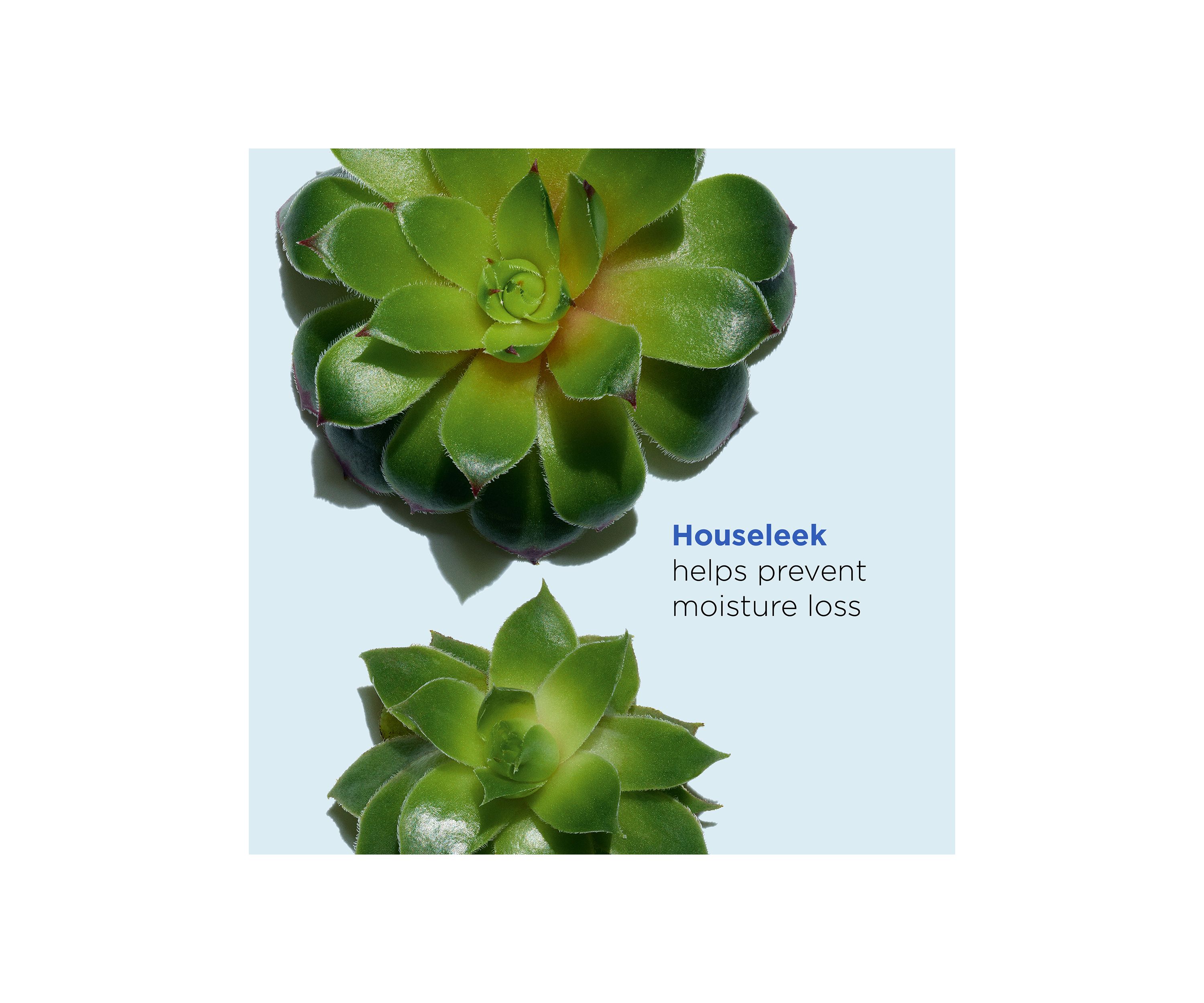 Super Hydrating Moisturizer Balm
