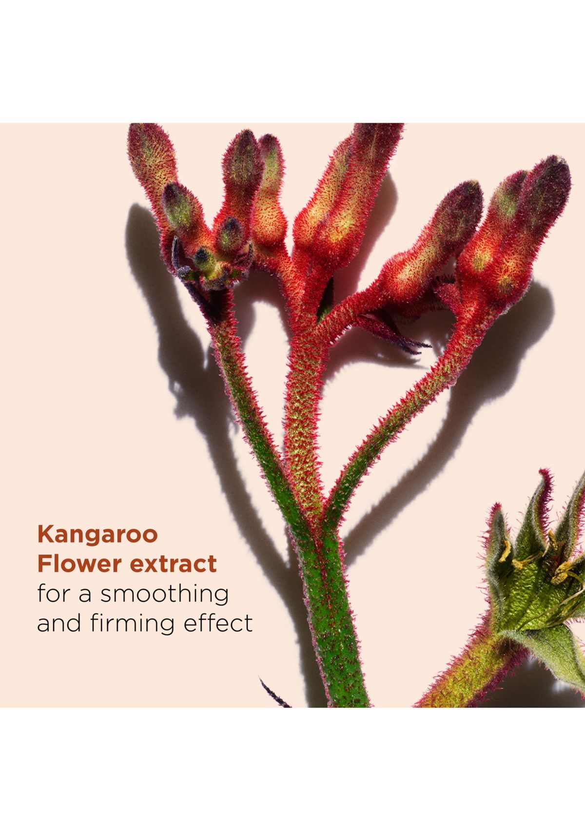 Total Eye Smooth & Firm Eye Cream