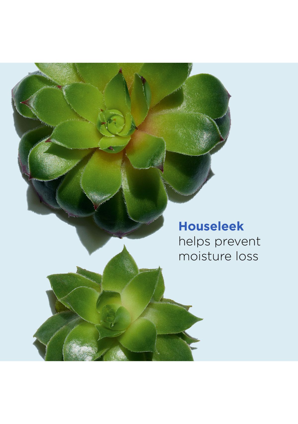 Super Hydrating Moisturizer Cooling Gel