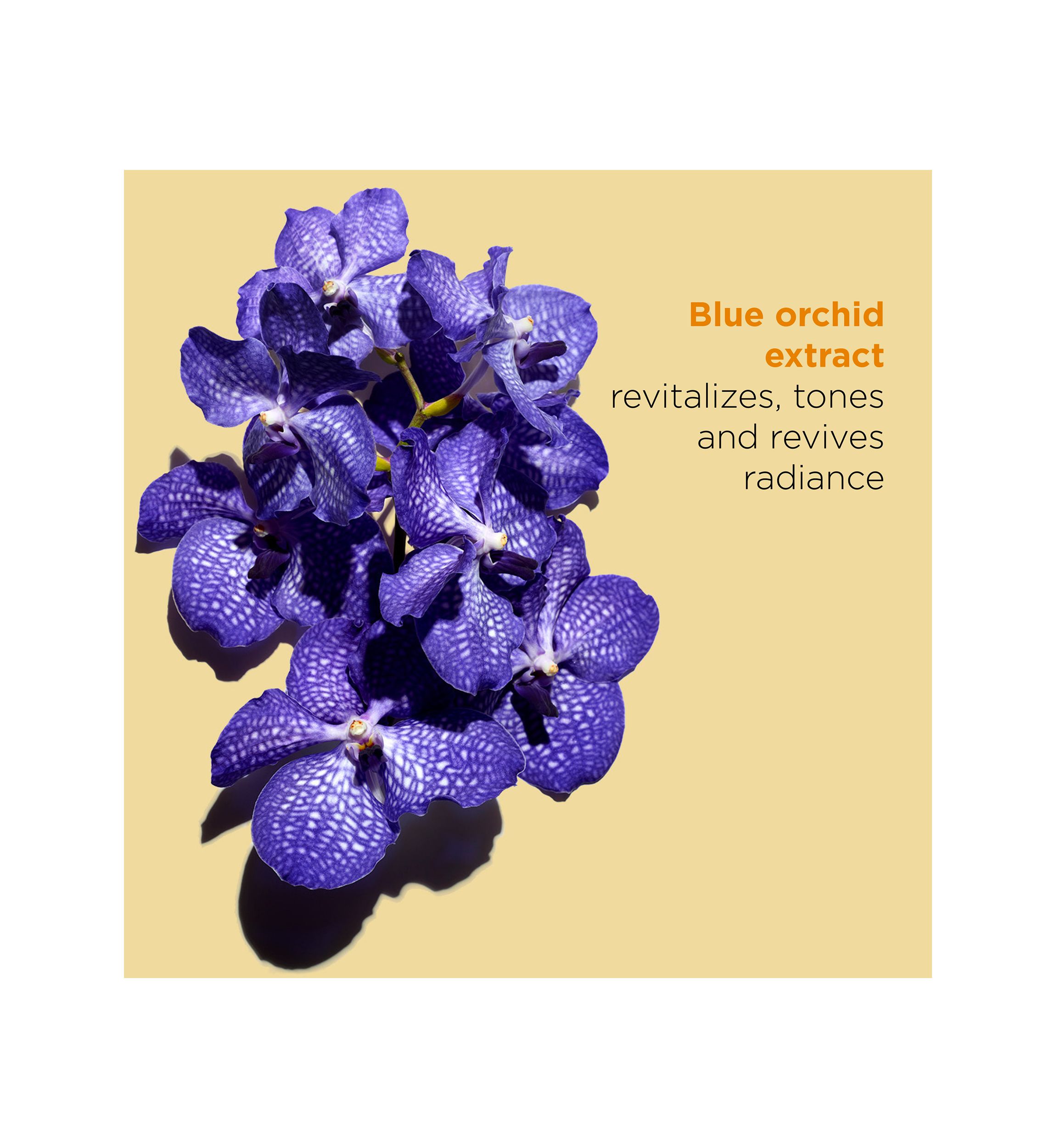 Blue Orchid Radiance & Hydrating Face Treatment Oil