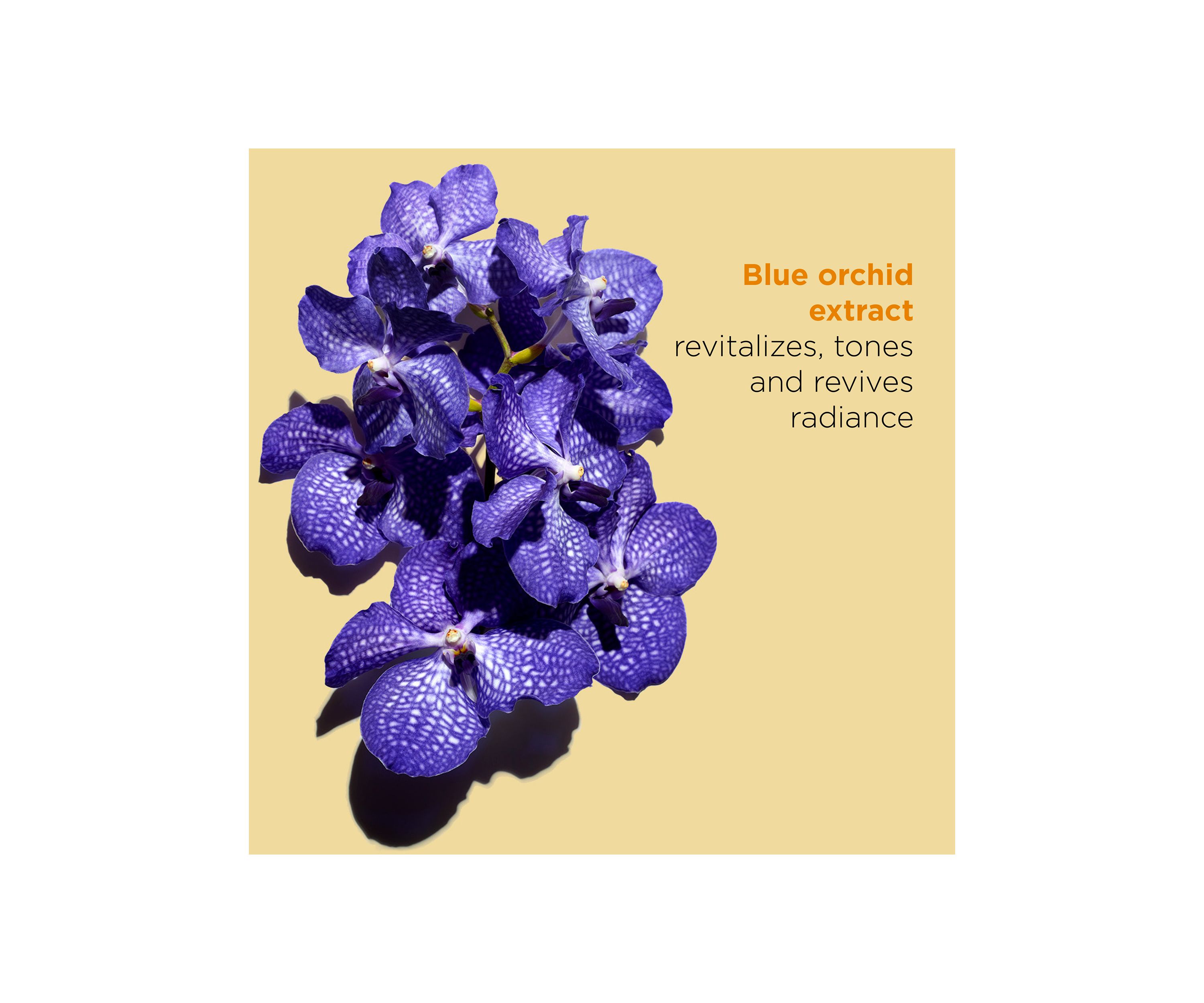 Blue Orchid Radiance & Hydrating Face Treatment Oil