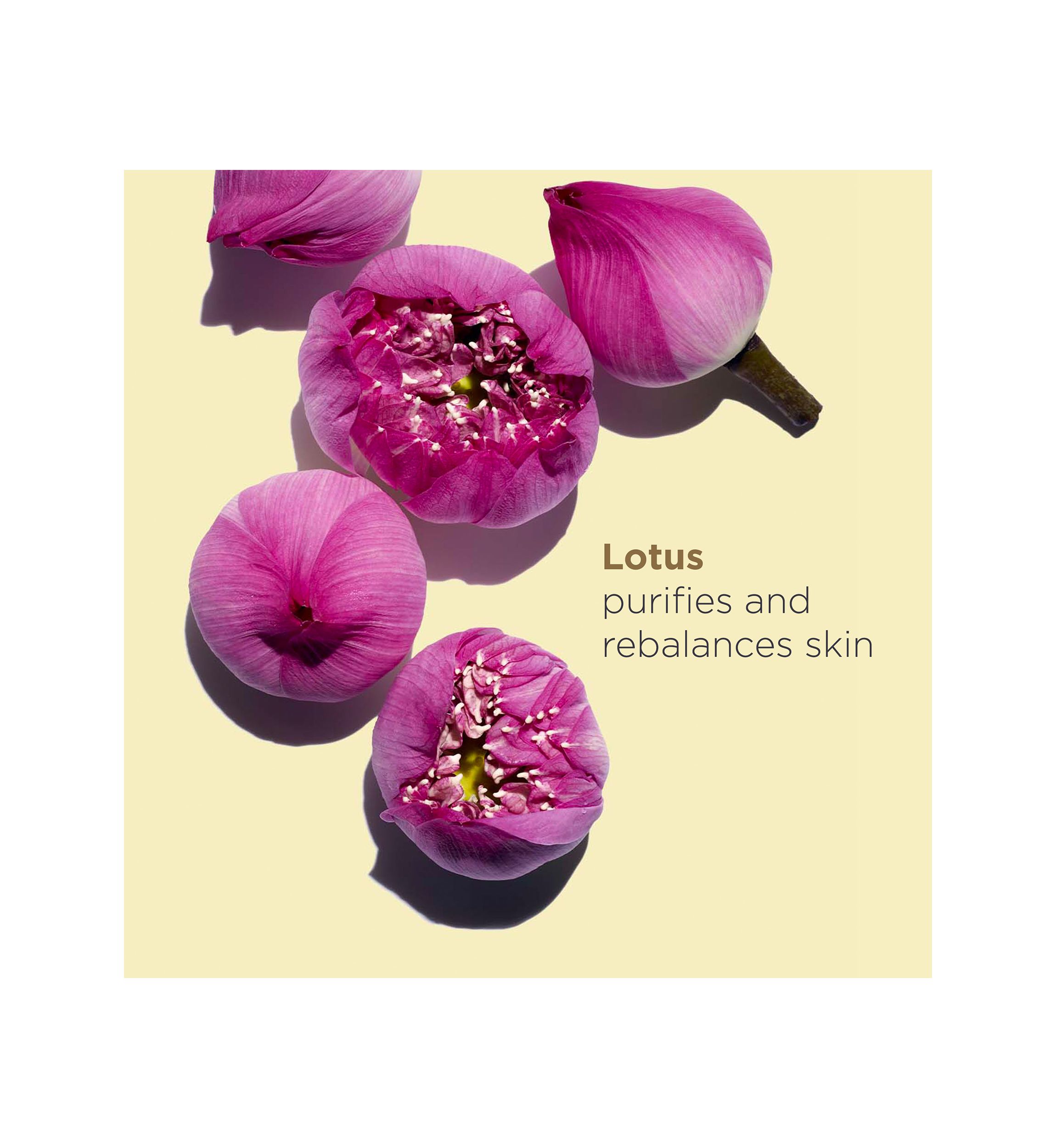 Lotus Balancing & Hydrating Face Treatment Oil