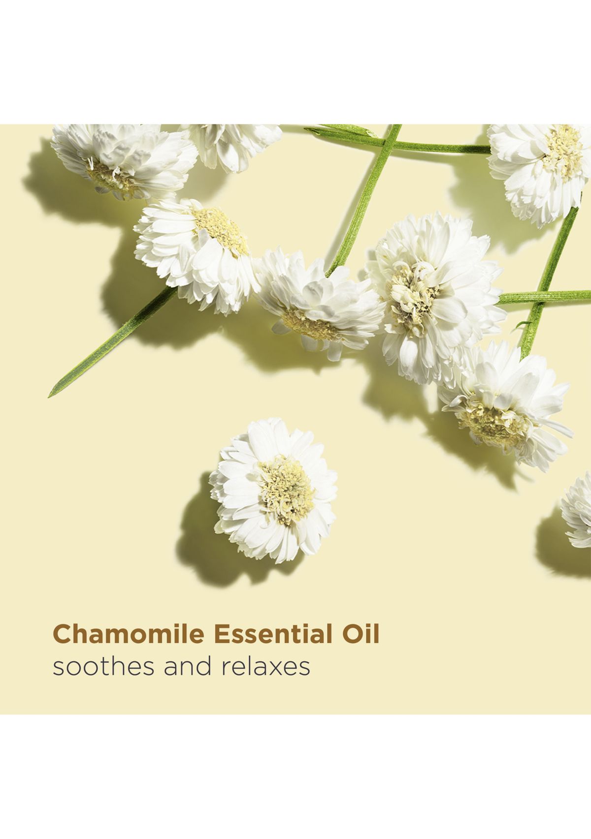 Relax Body Smoothing & Nourishing Treatment Oil