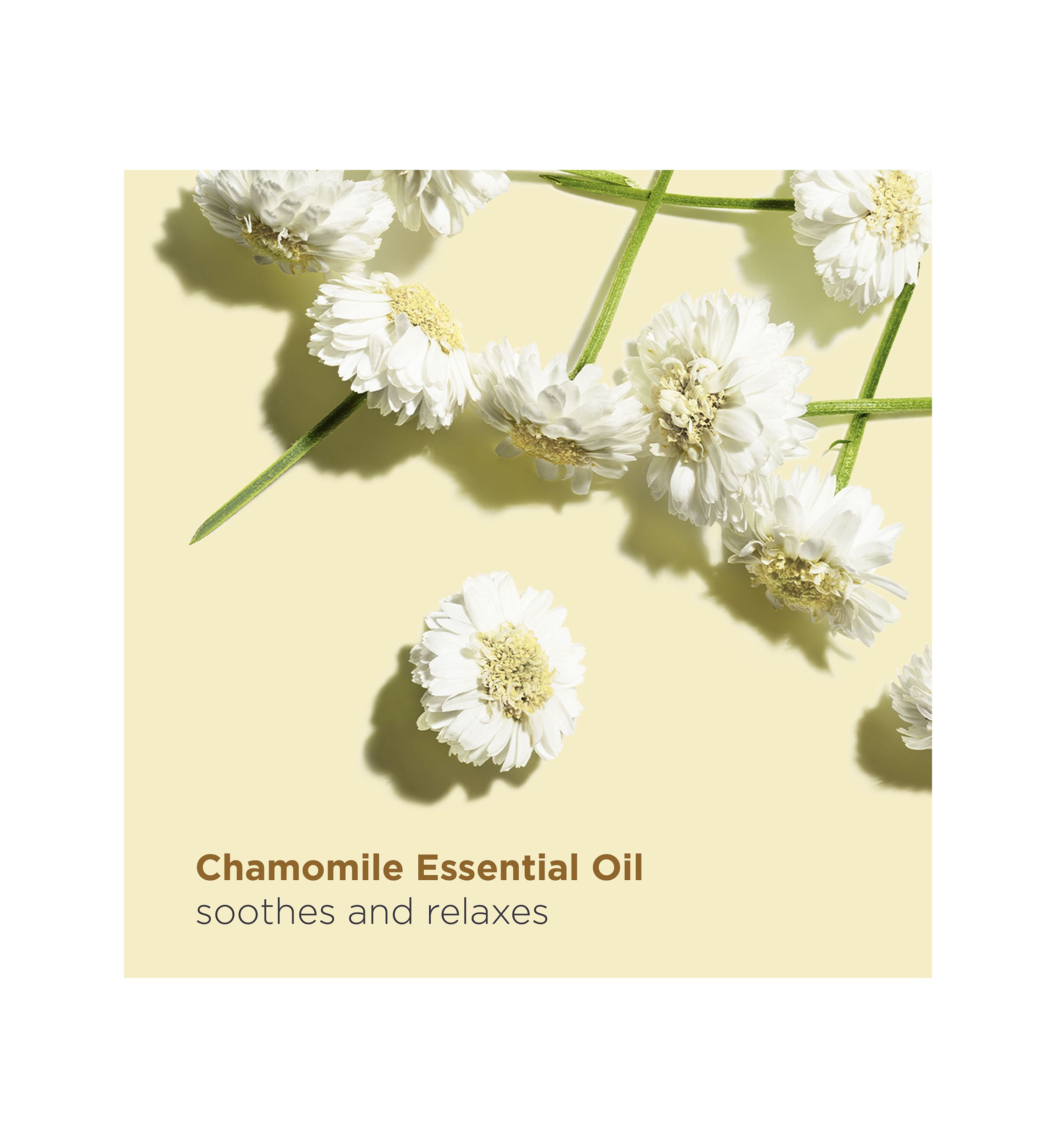 Relax Body Smoothing & Nourishing Treatment Oil