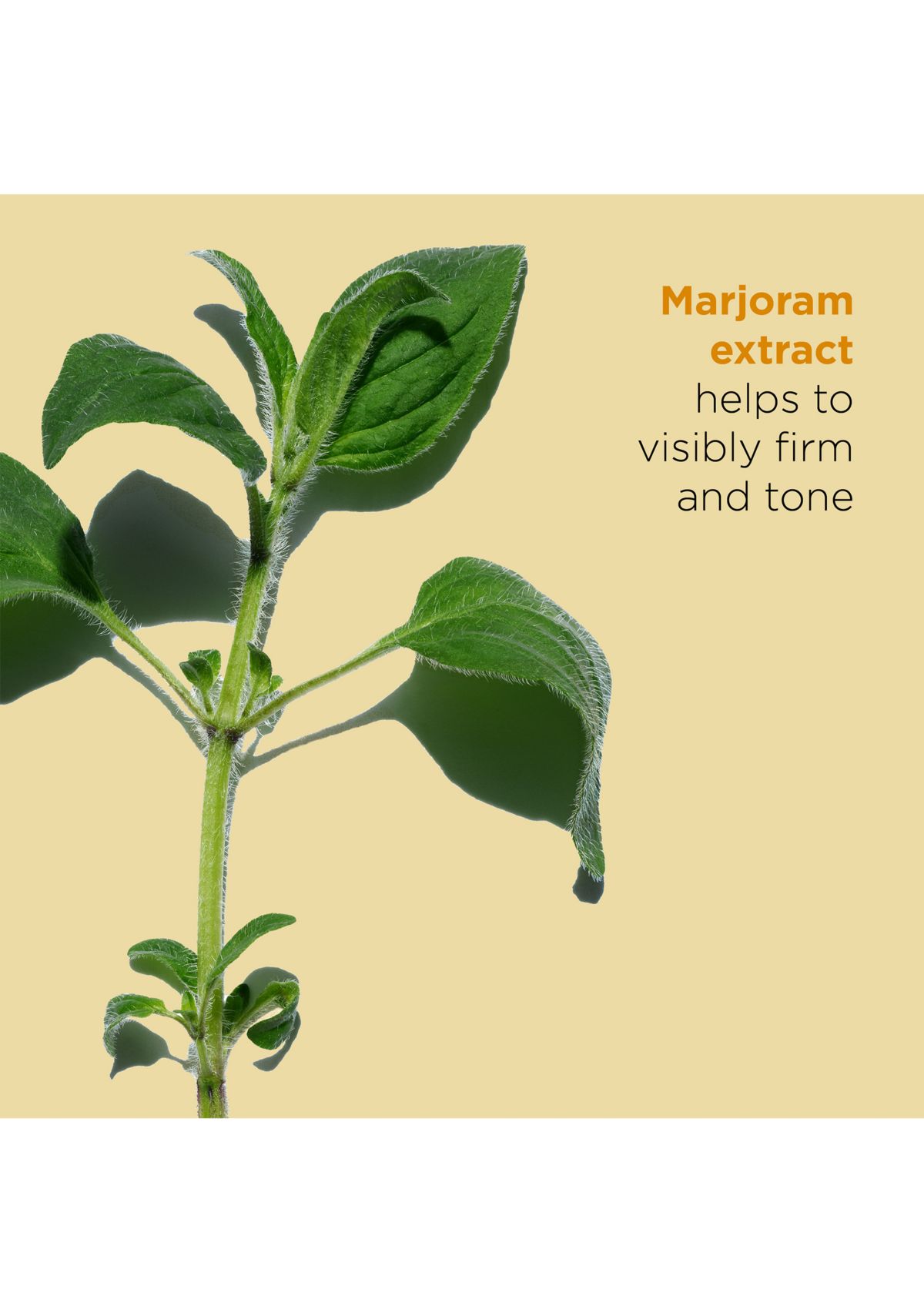 Contour Body Firming & Toning Treatment Oil