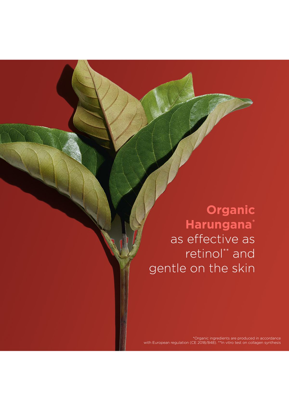 Super Restorative Anti-Aging Décolleté and Neck Cream