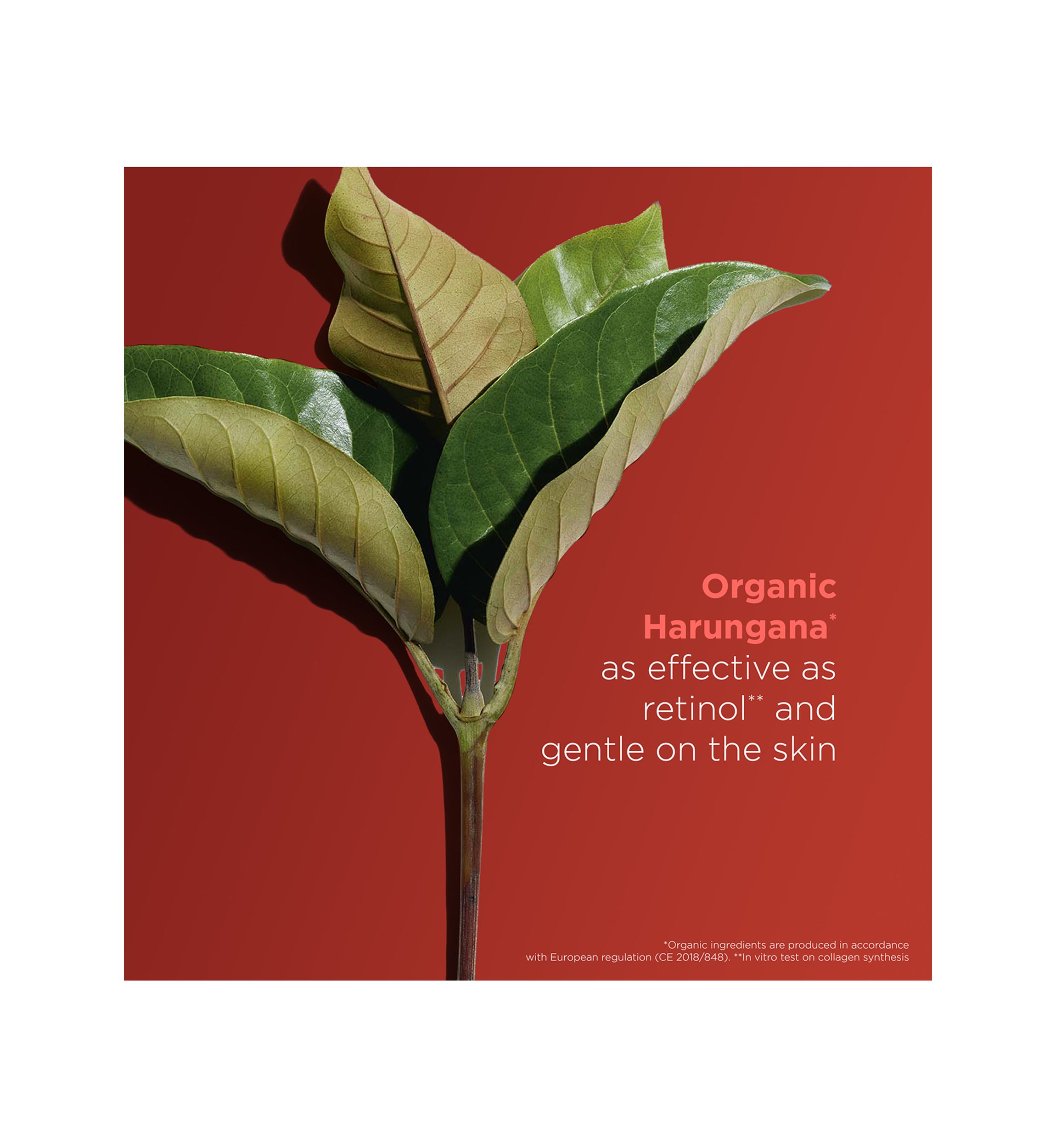 Super Restorative Anti-Aging Décolleté and Neck Cream