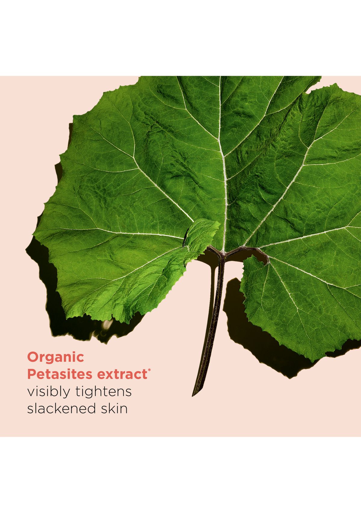 Extra-Firming & Smoothing Body Cream