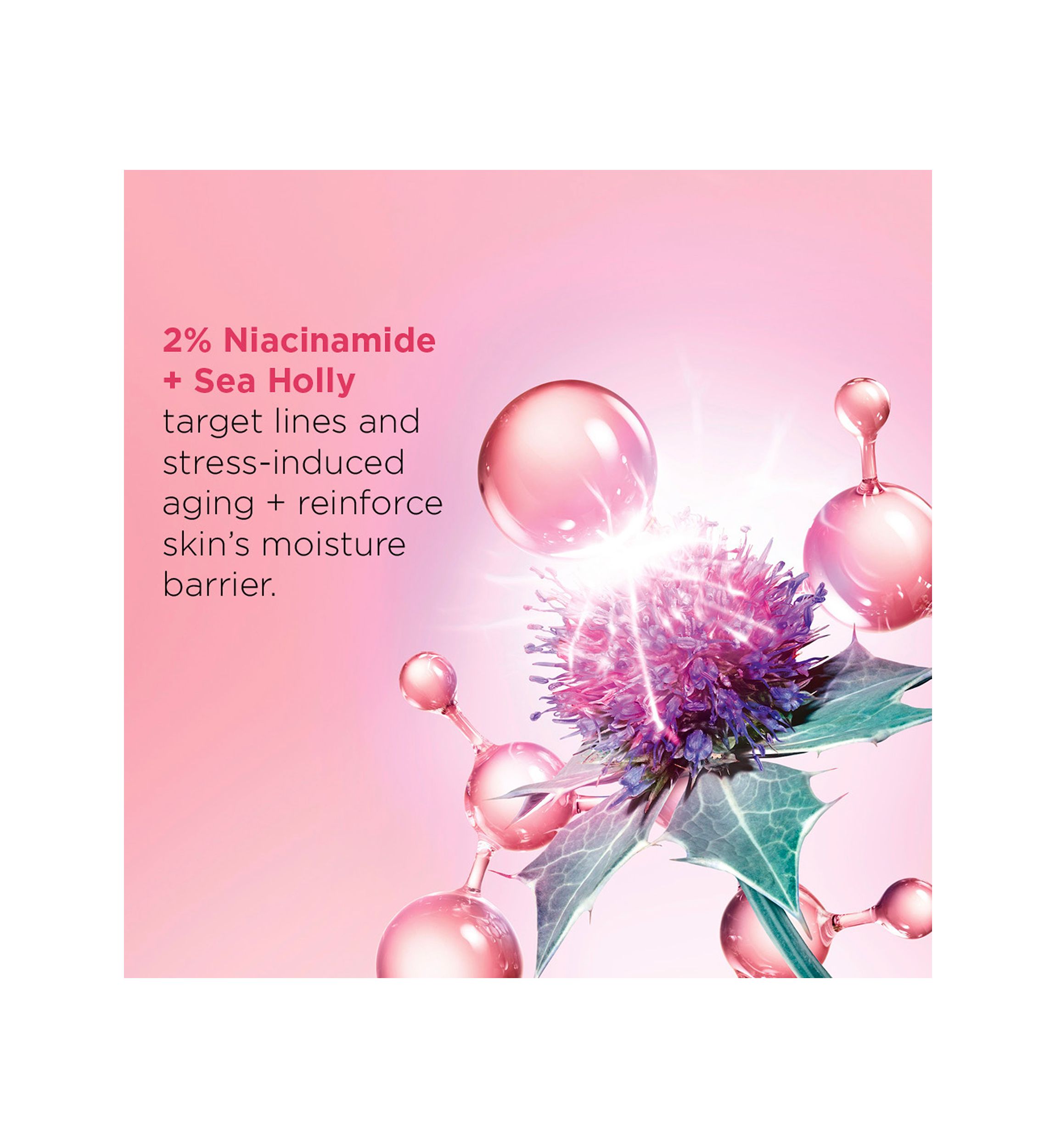Multi-Active Night Moisturizer for Lines, Pores, Glow with Niacinamide, Dry Skin