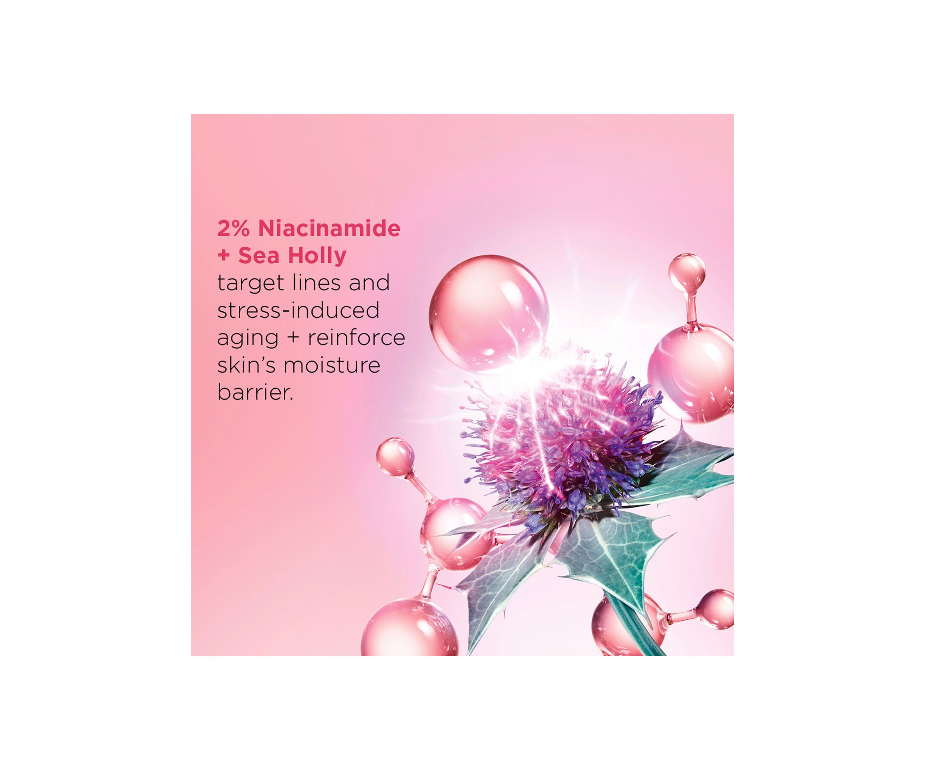 Multi-Active Night Moisturizer for Lines, Pores, Glow with Niacinamide, Dry Skin
