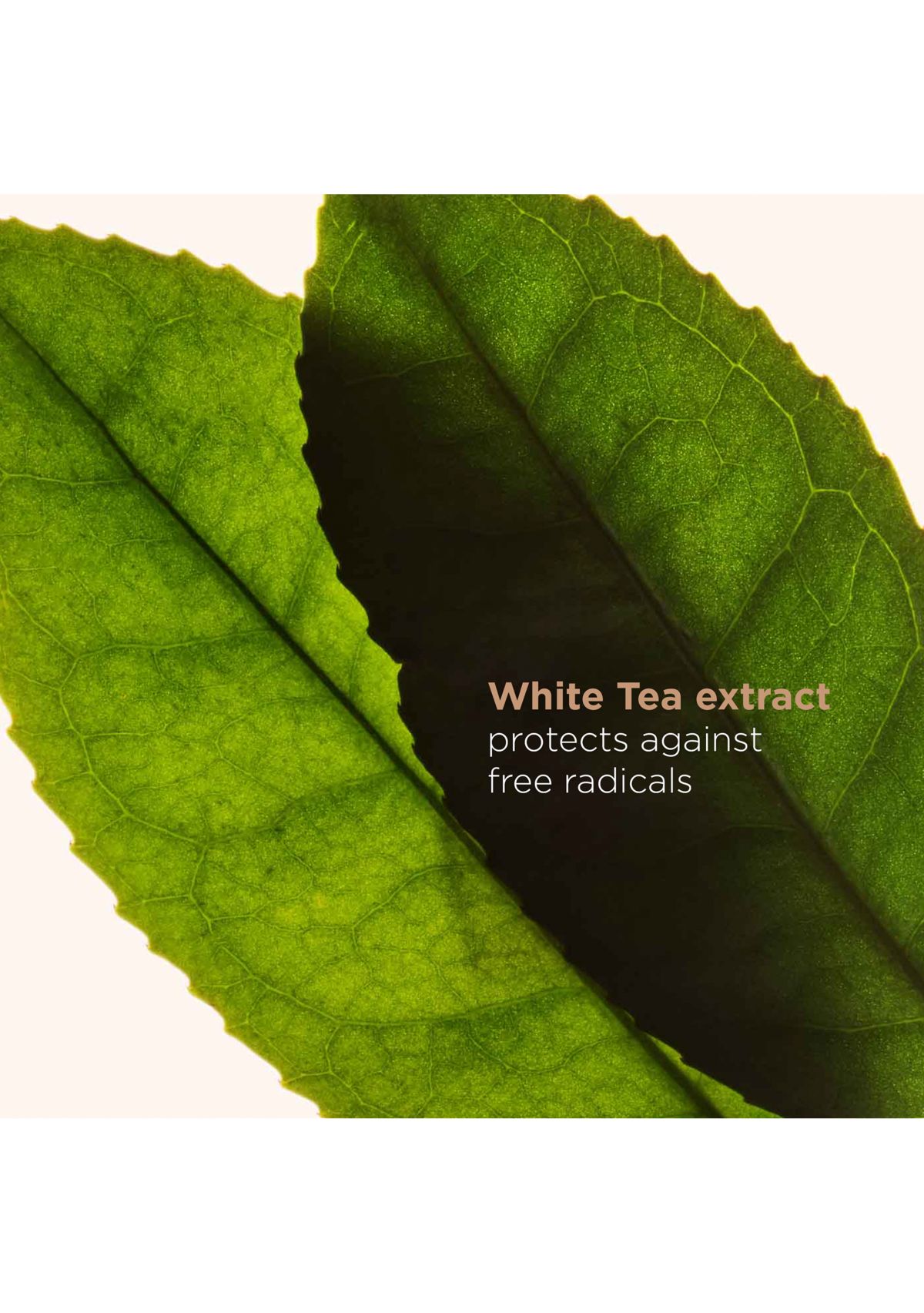 Instant Concealer Long-Wearing & Brightening for Dark Circles