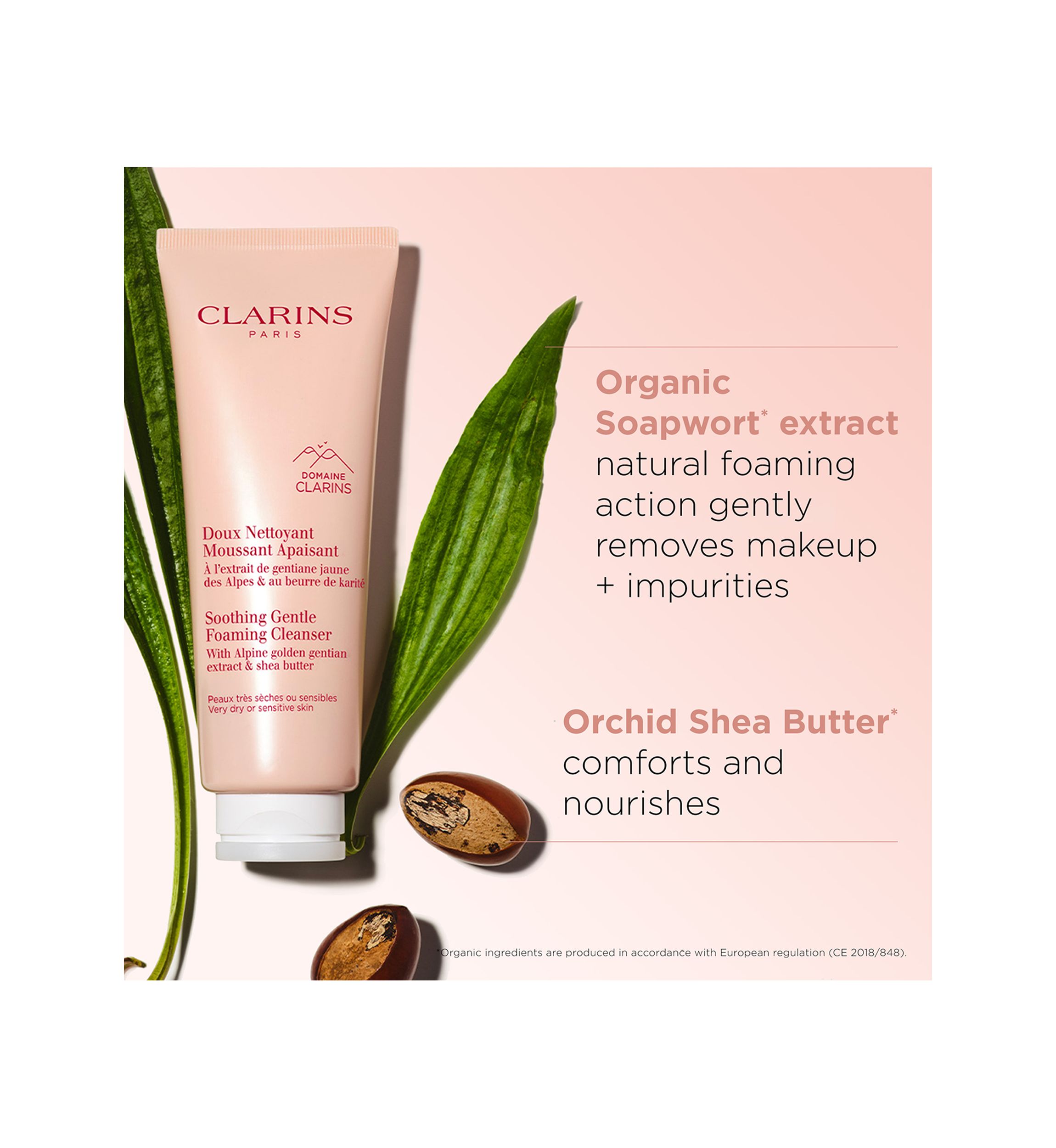 Soothing Gentle Foaming Face Cleanser with Shea Butter
