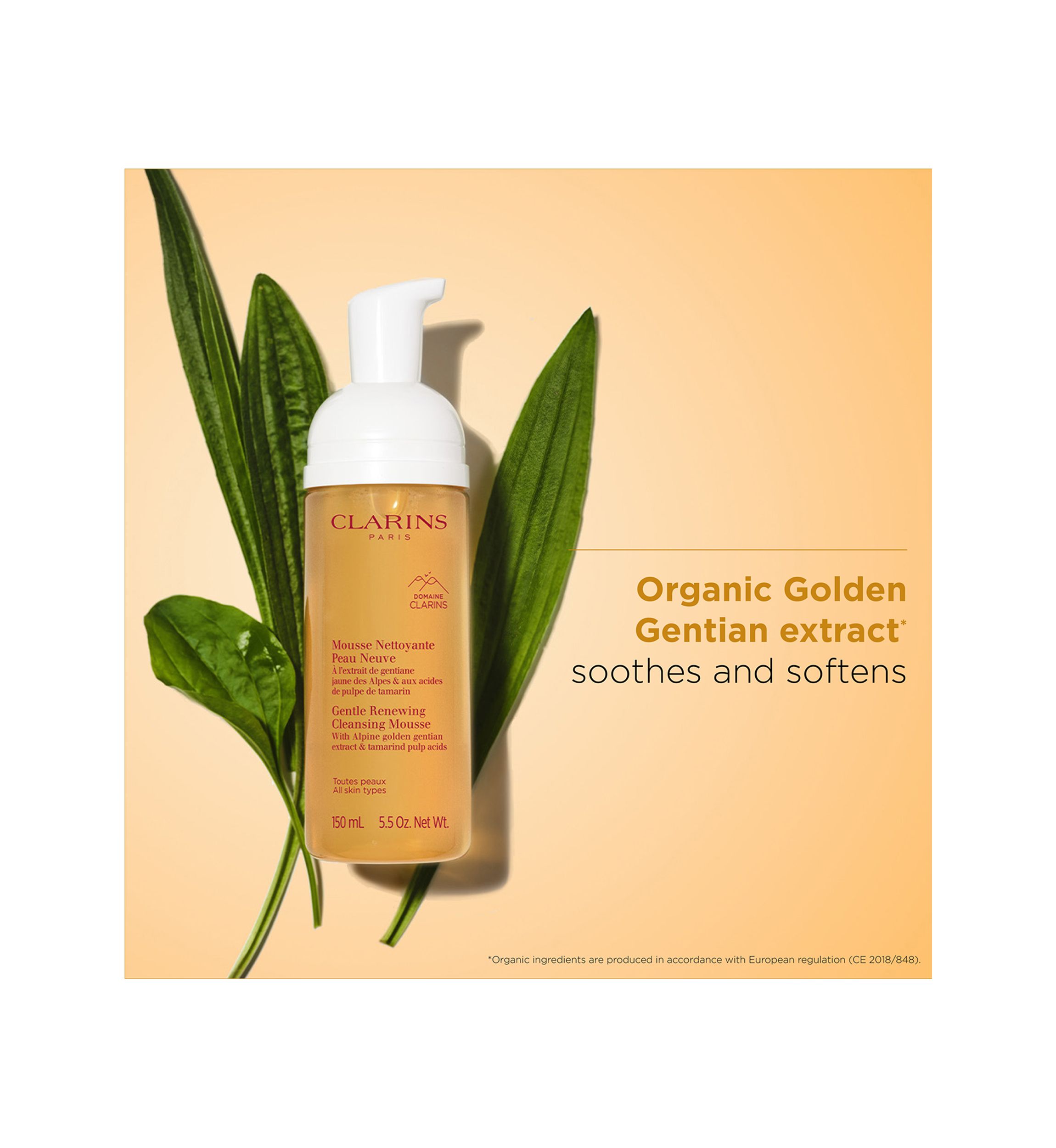 Gentle Renewing Foaming Cleansing Mousse
