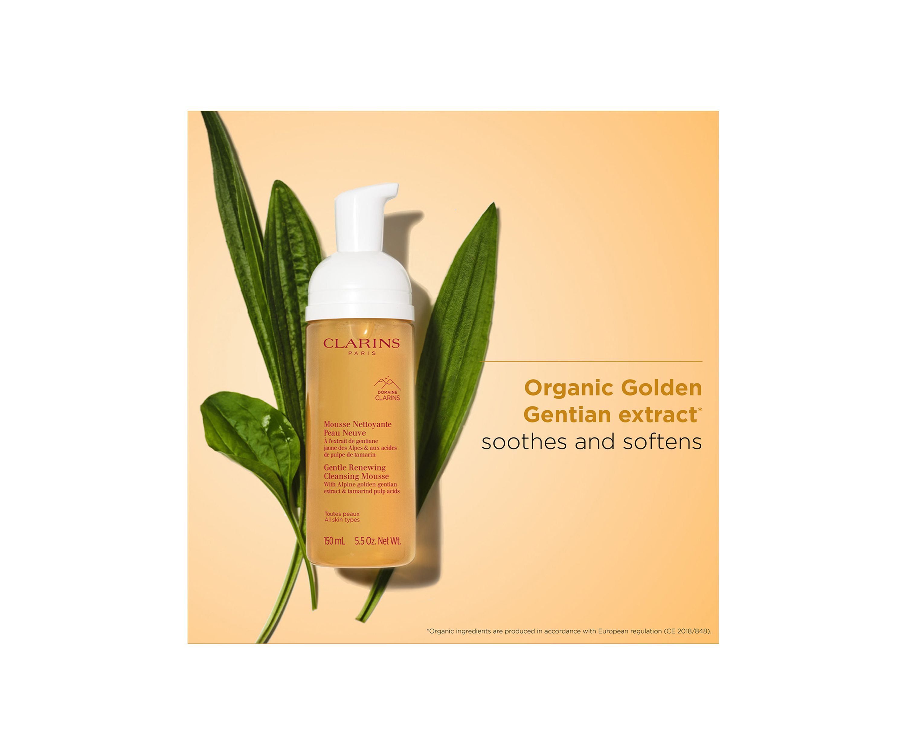 Gentle Renewing Foaming Cleansing Mousse