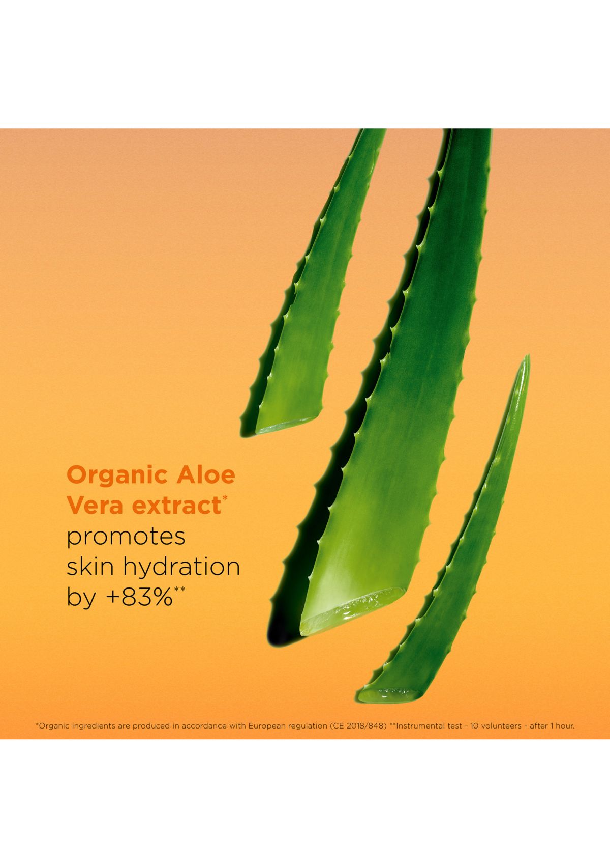 Dry Touch Face Sunscreen Broad Spectrum SPF 50+