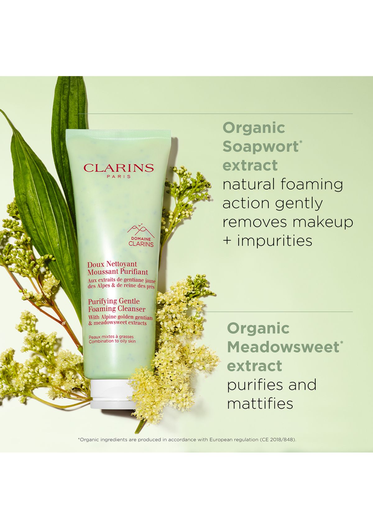 Purifying Gentle Foaming Face Cleanser