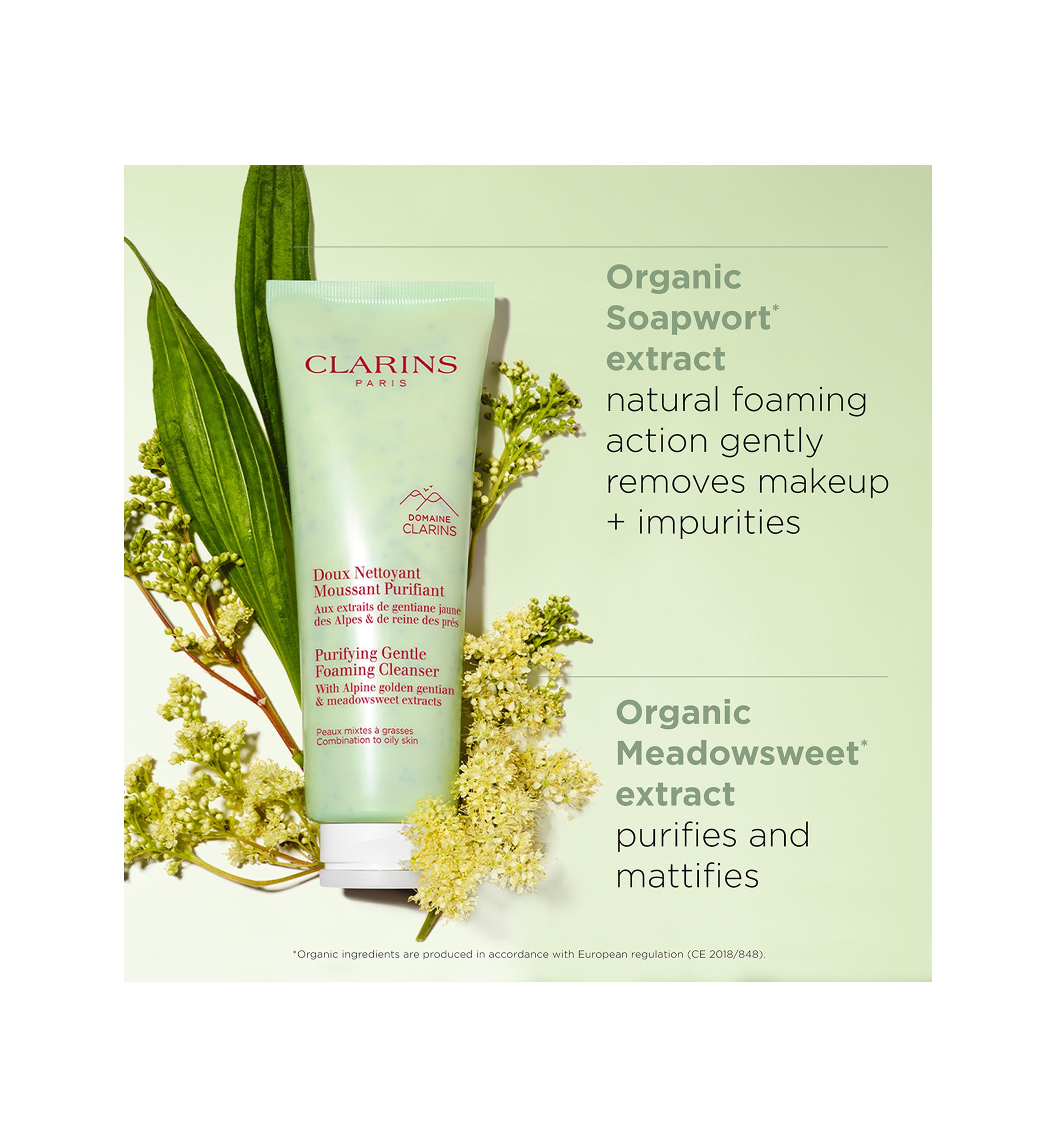 Purifying Gentle Foaming Face Cleanser