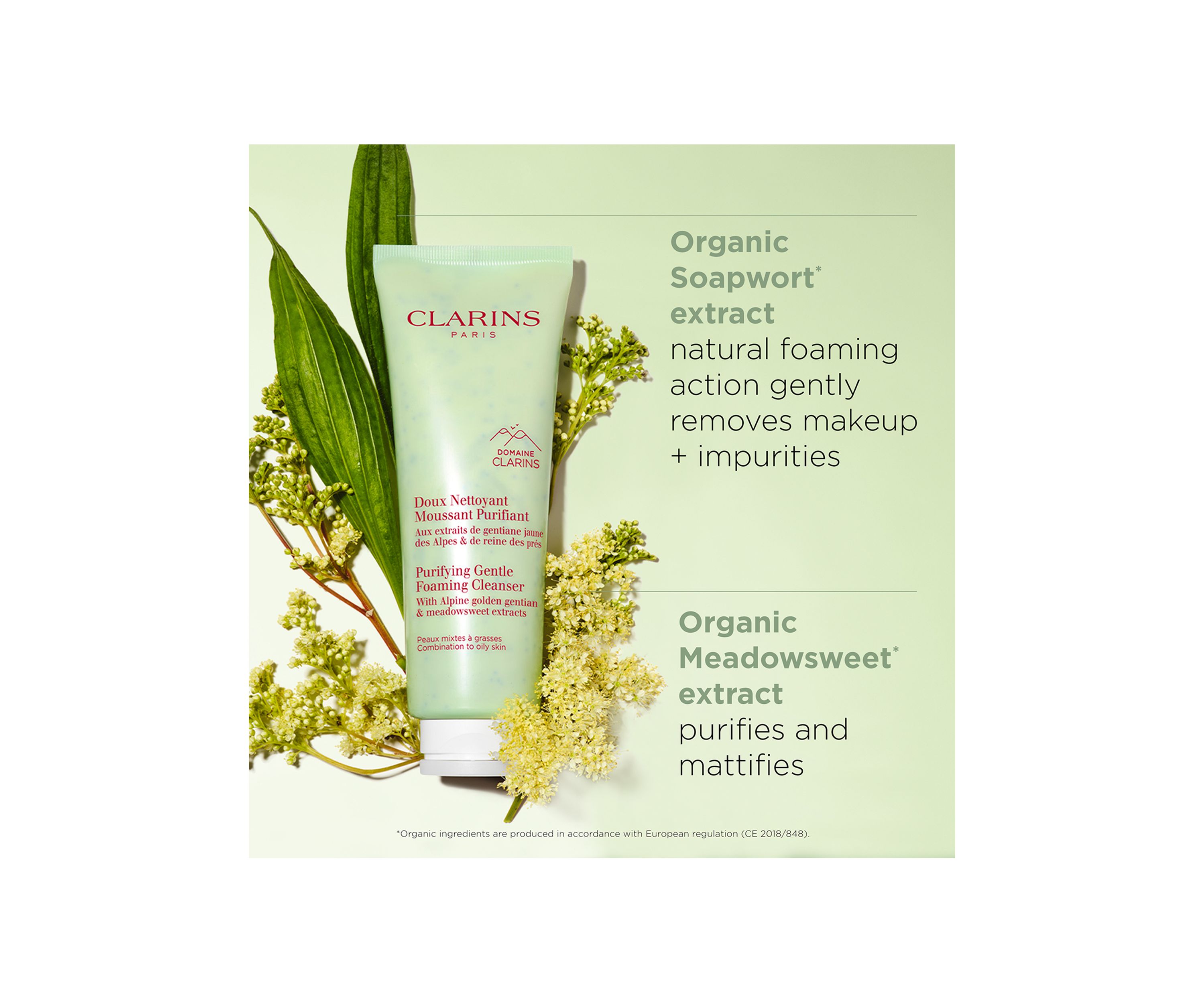 Purifying Gentle Foaming Face Cleanser