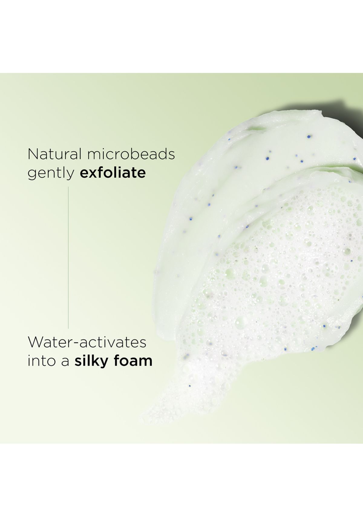 Purifying Gentle Foaming Face Cleanser