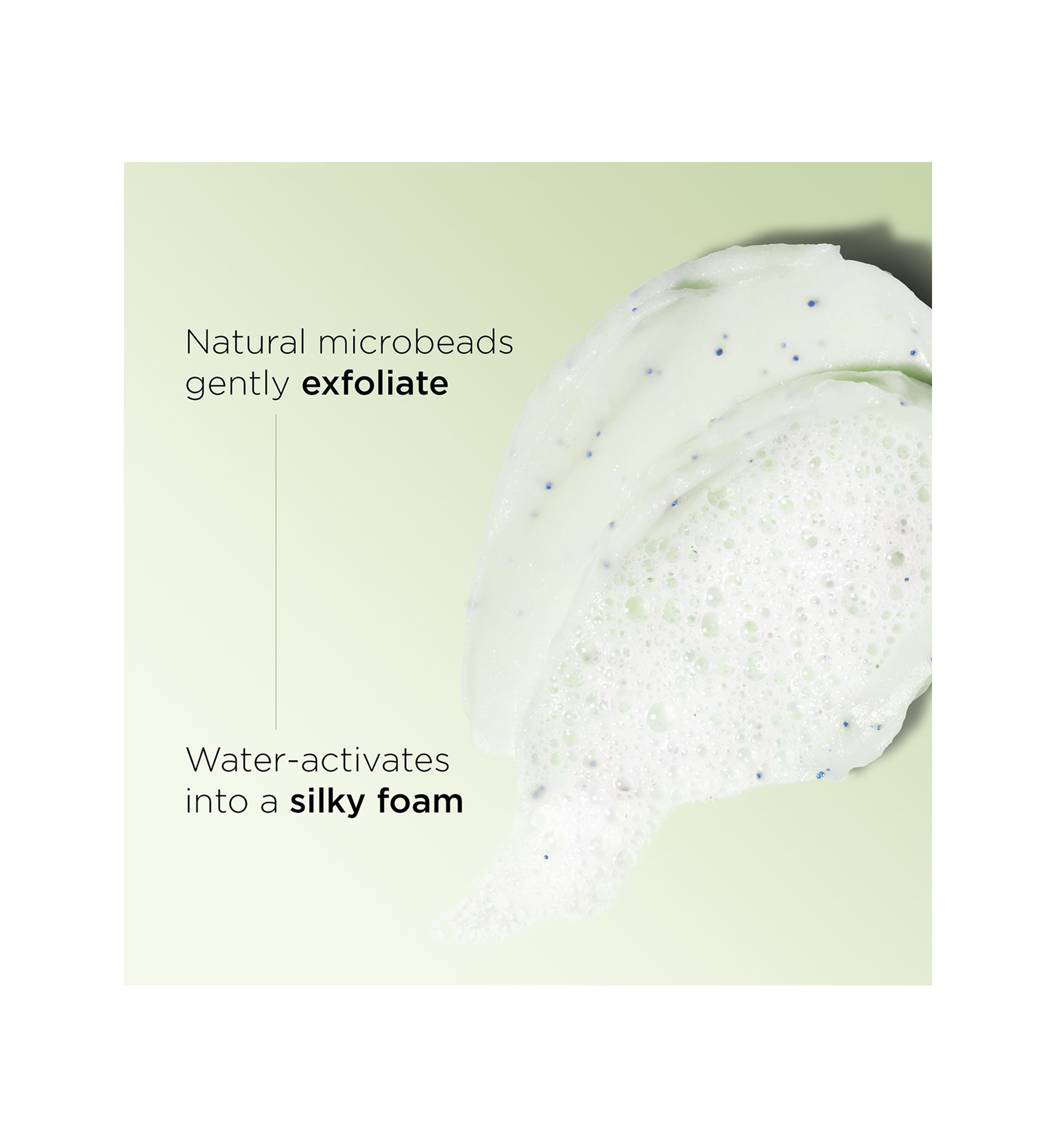Purifying Gentle Foaming Face Cleanser
