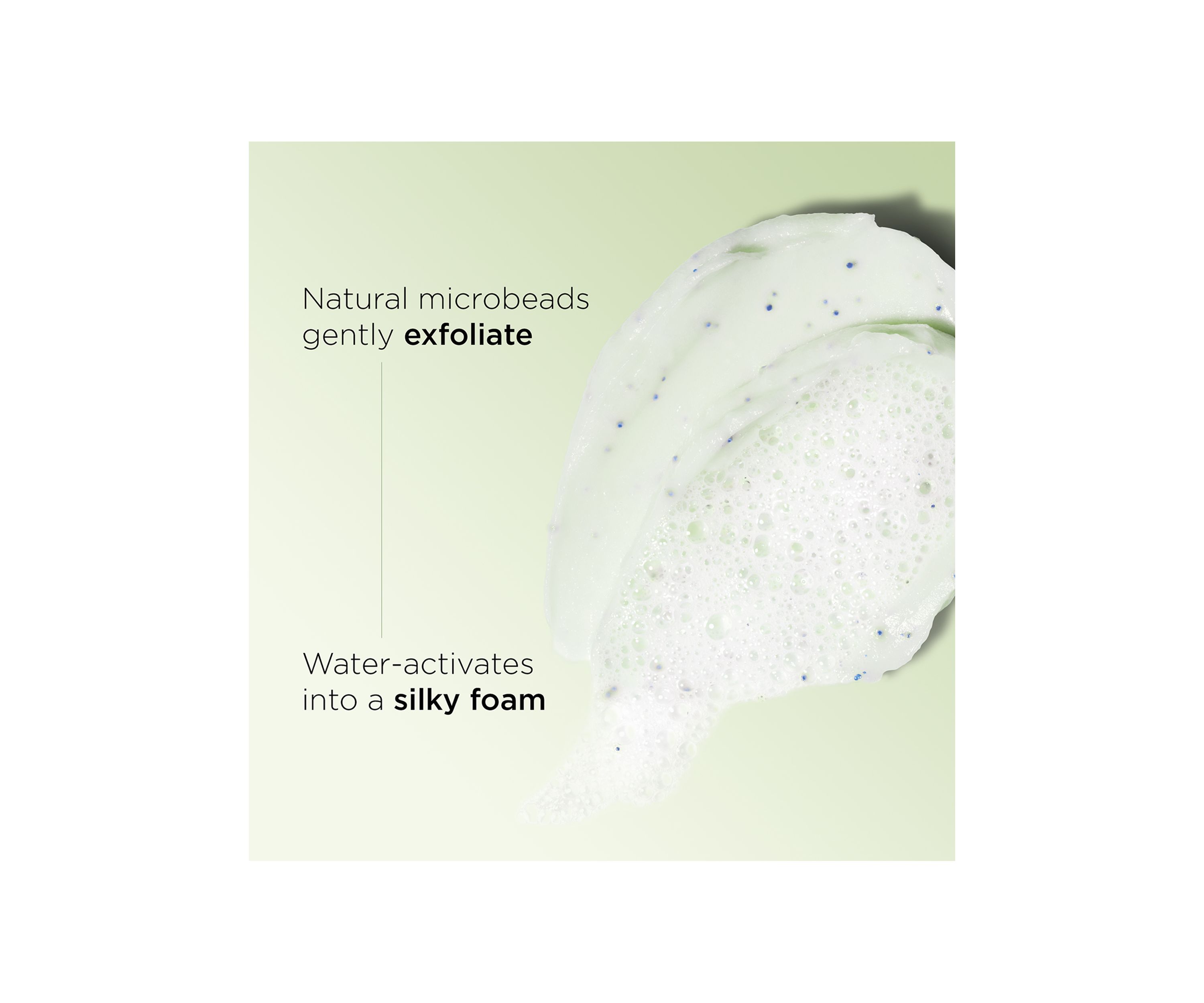 Purifying Gentle Foaming Face Cleanser