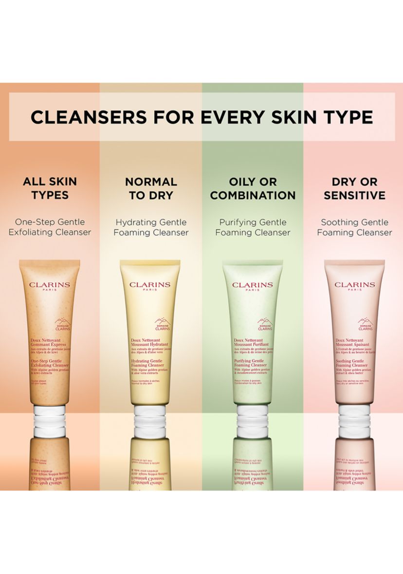 Purifying Gentle Foaming Face Cleanser
