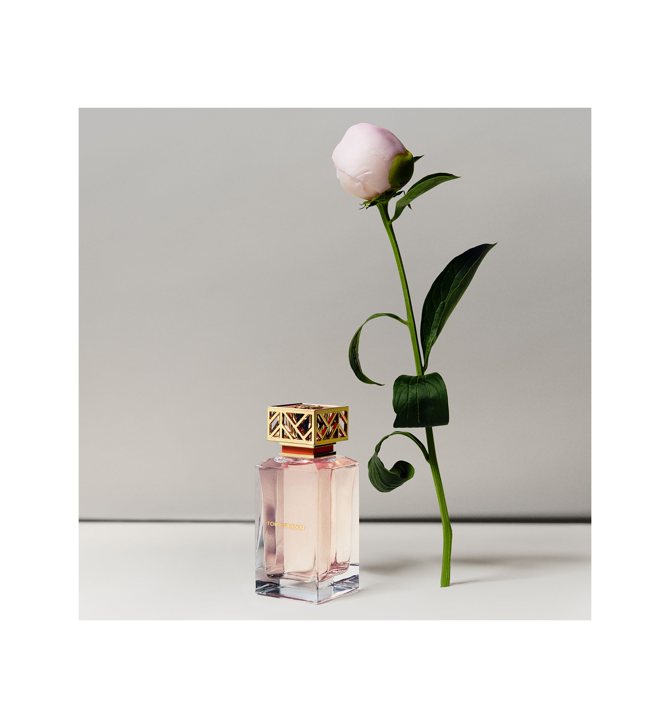 Eau de Parfum Fragrance