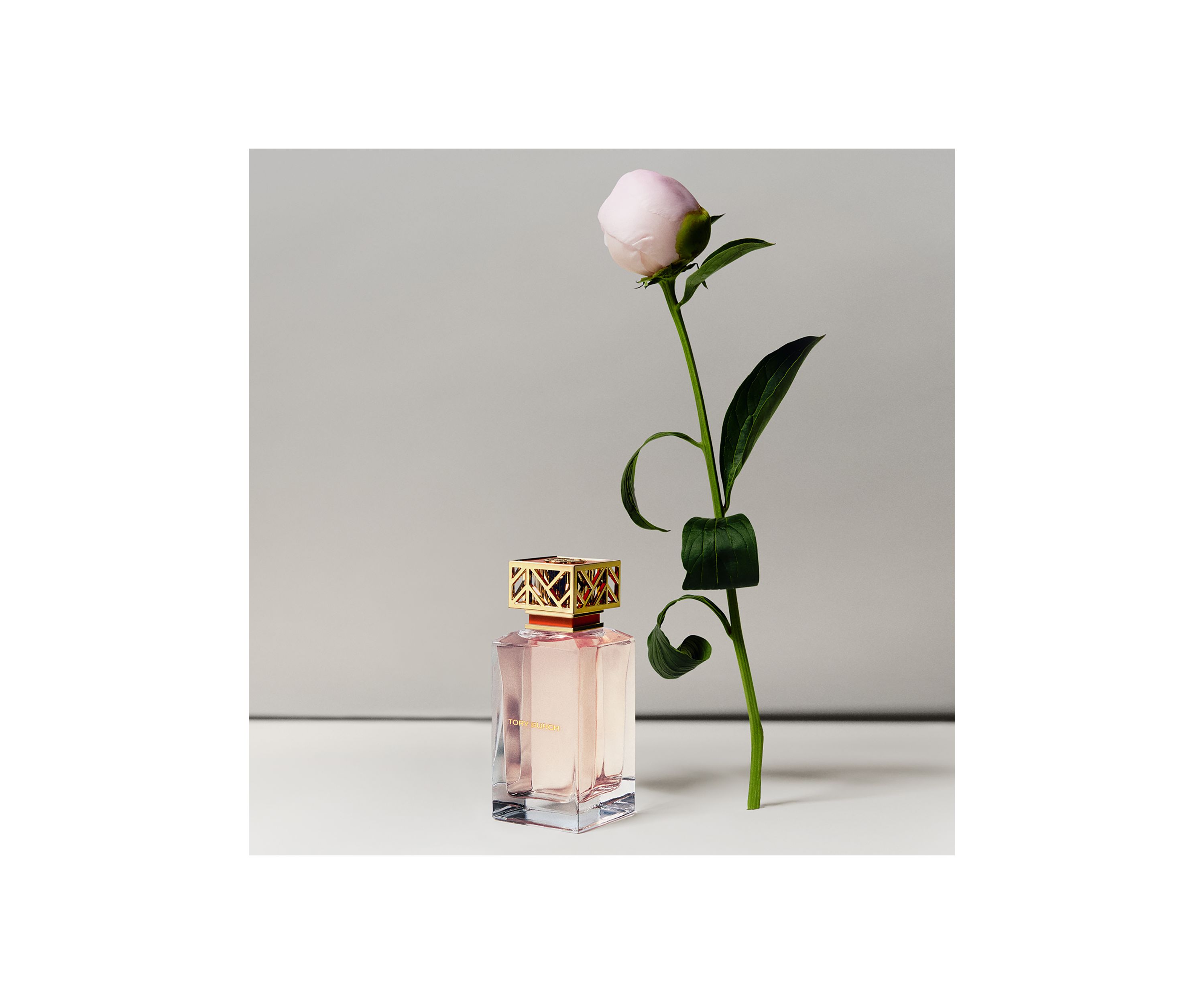 Eau de Parfum Fragrance