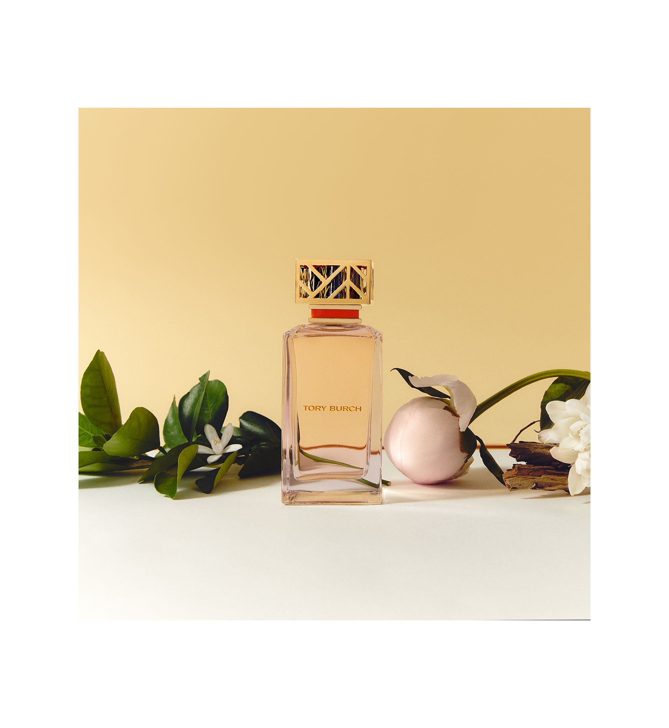 Eau de Parfum Fragrance