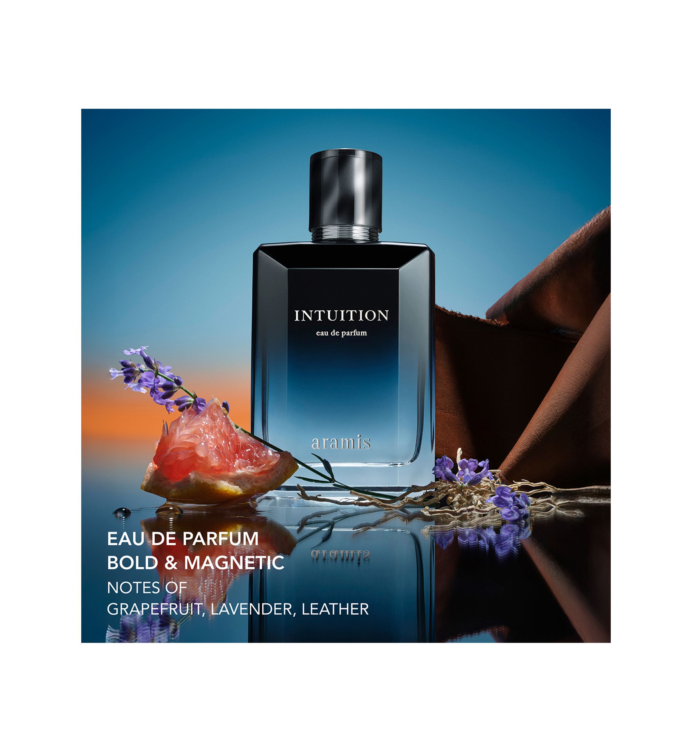 Aramis Intuition Men's Holiday Gift Set | Belk