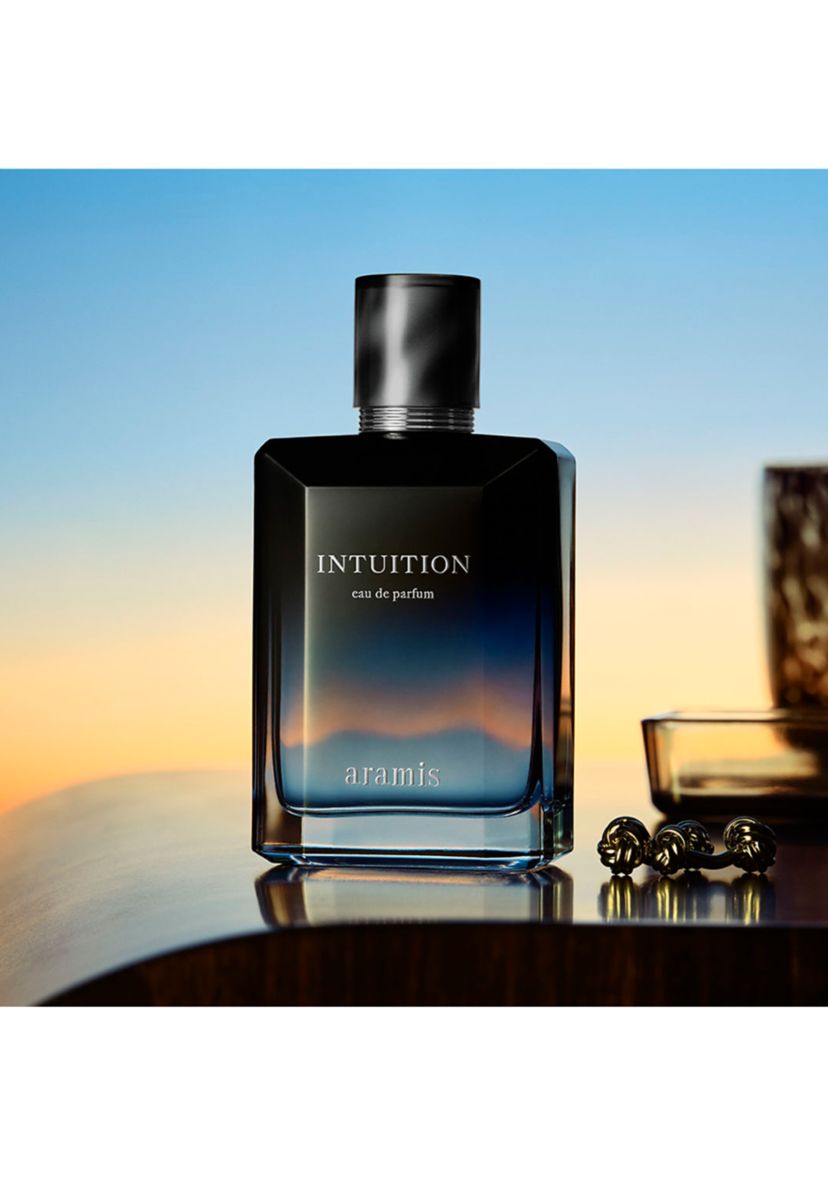 Aramis Intuition Men's Holiday Gift Set | Belk