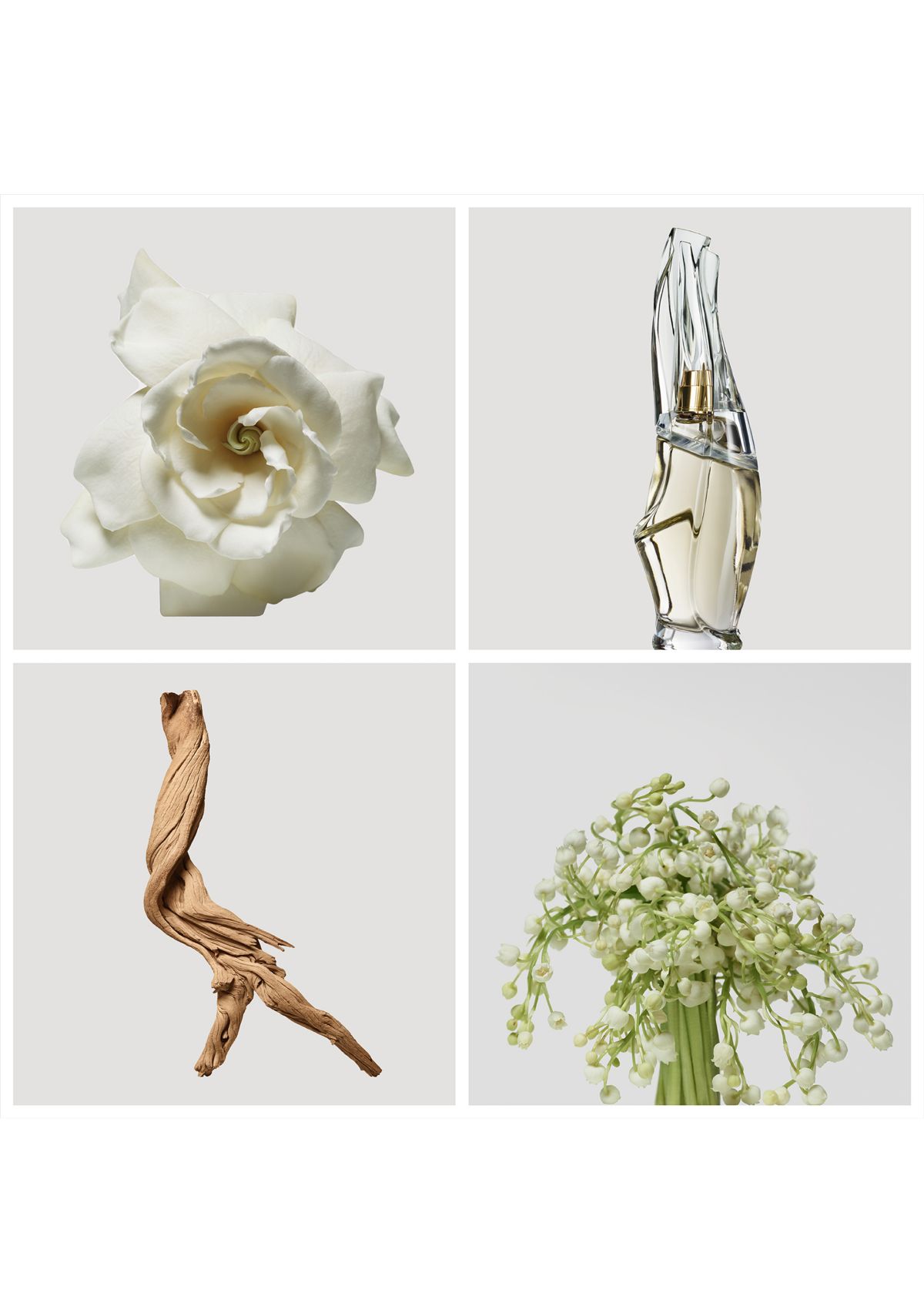 Cashmere Mist Deodorant  