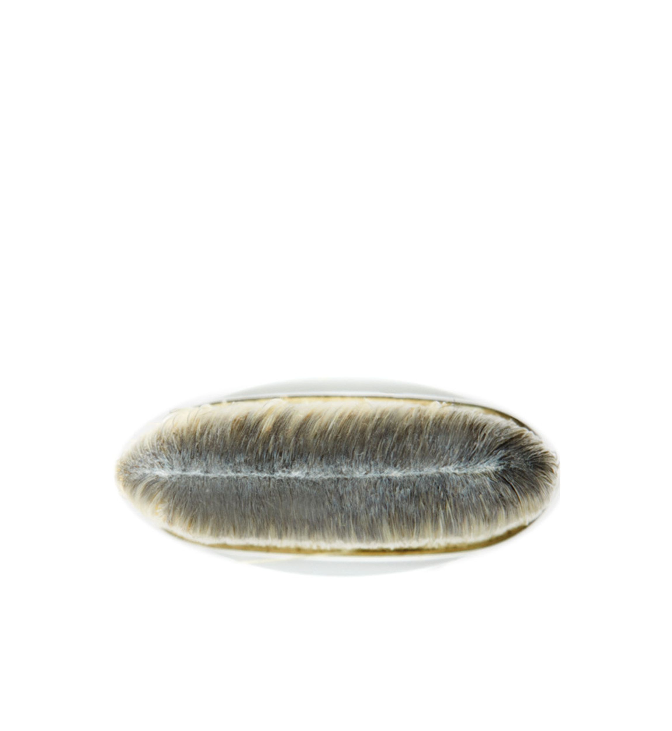 190 Foundation Brush