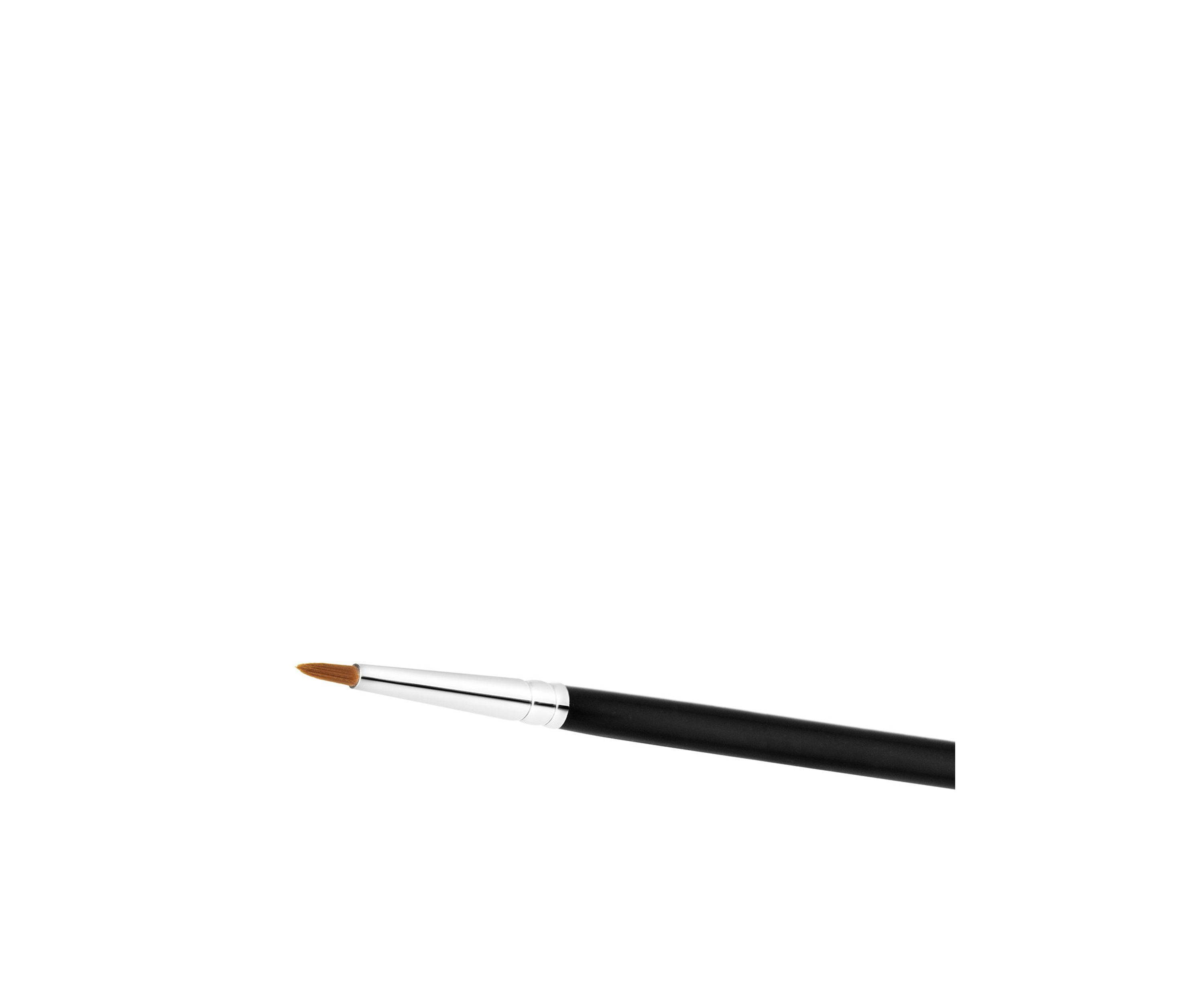 209 Eye Liner Brush
