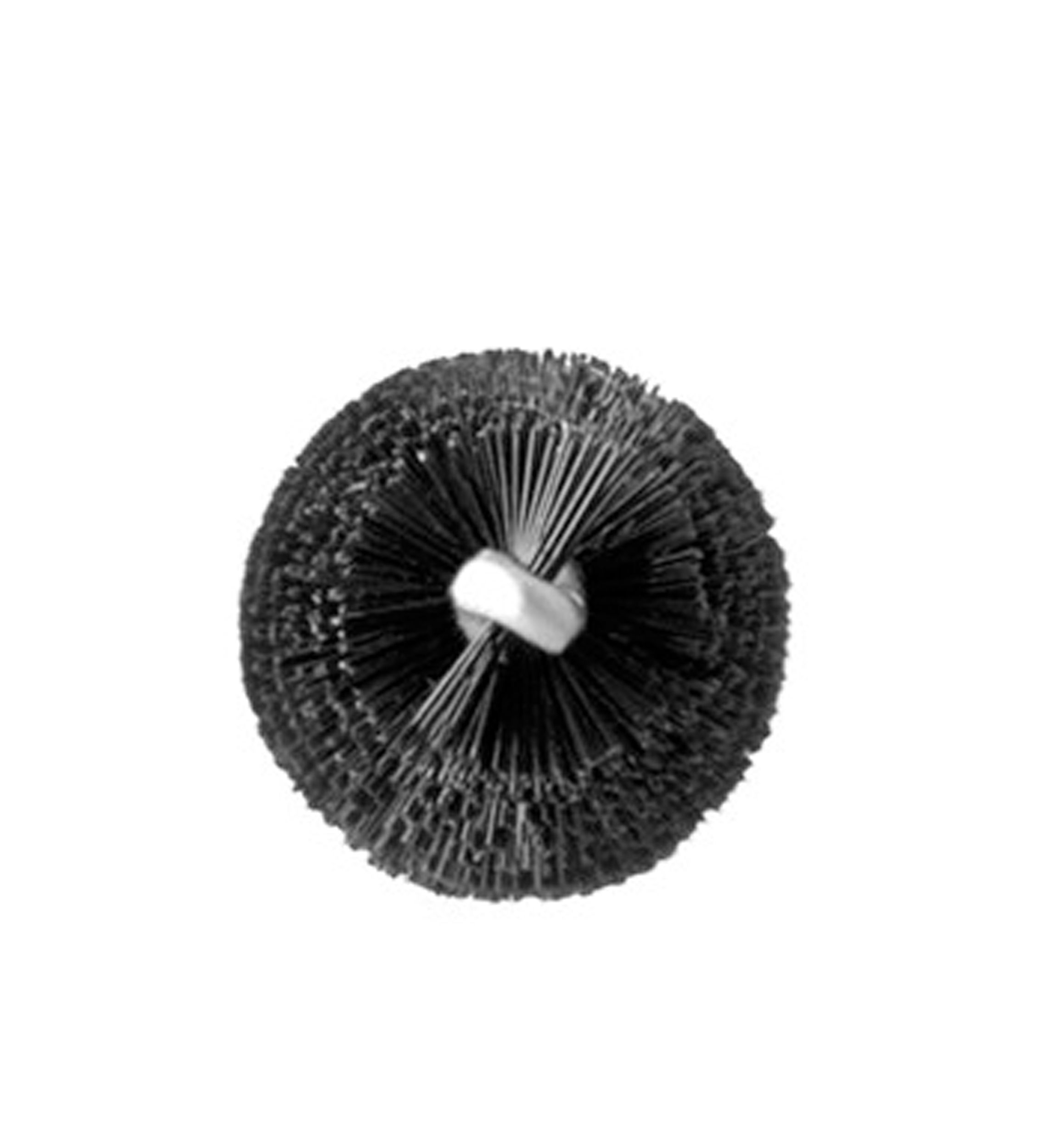 204 Lash Brush
