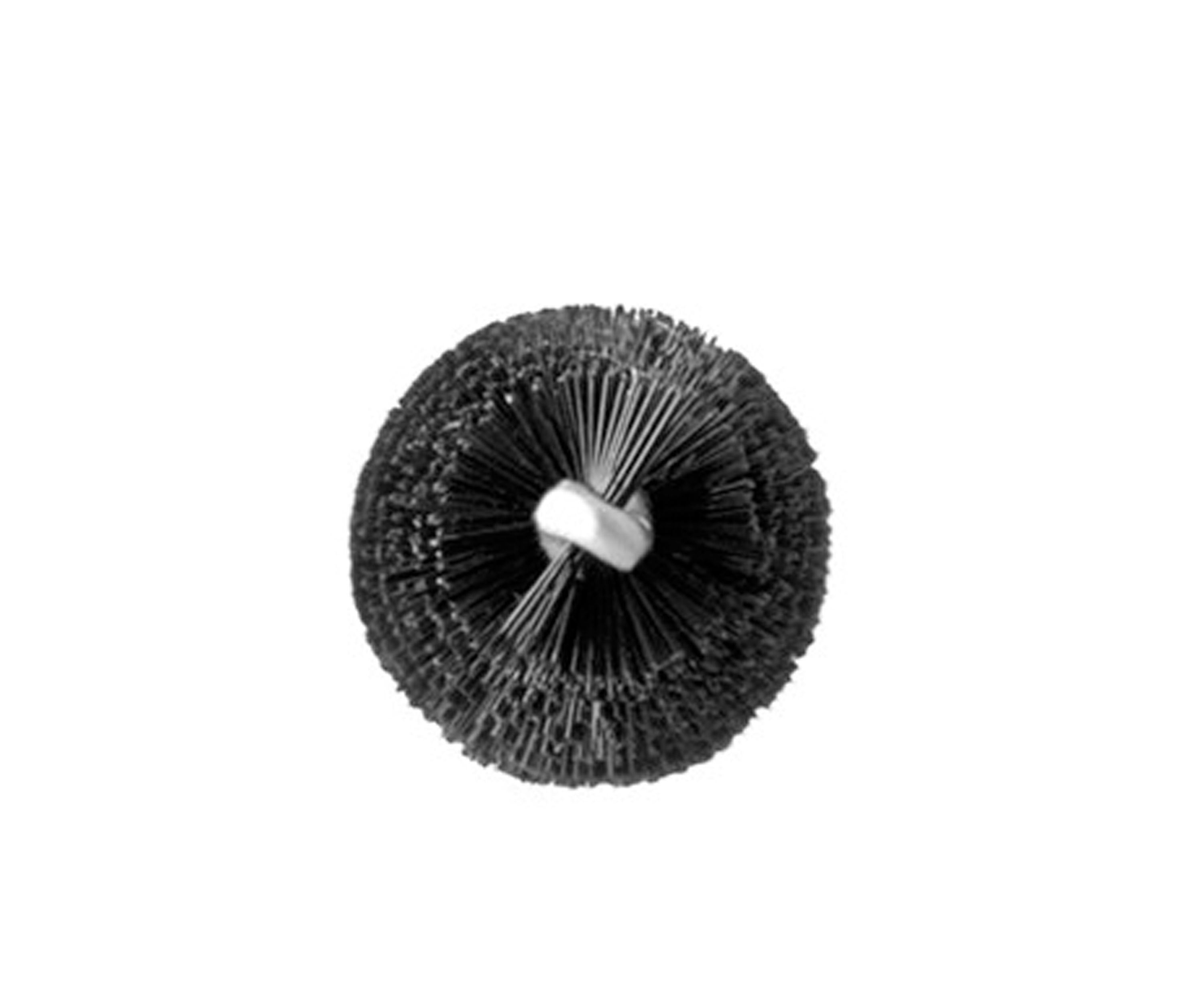 204 Lash Brush