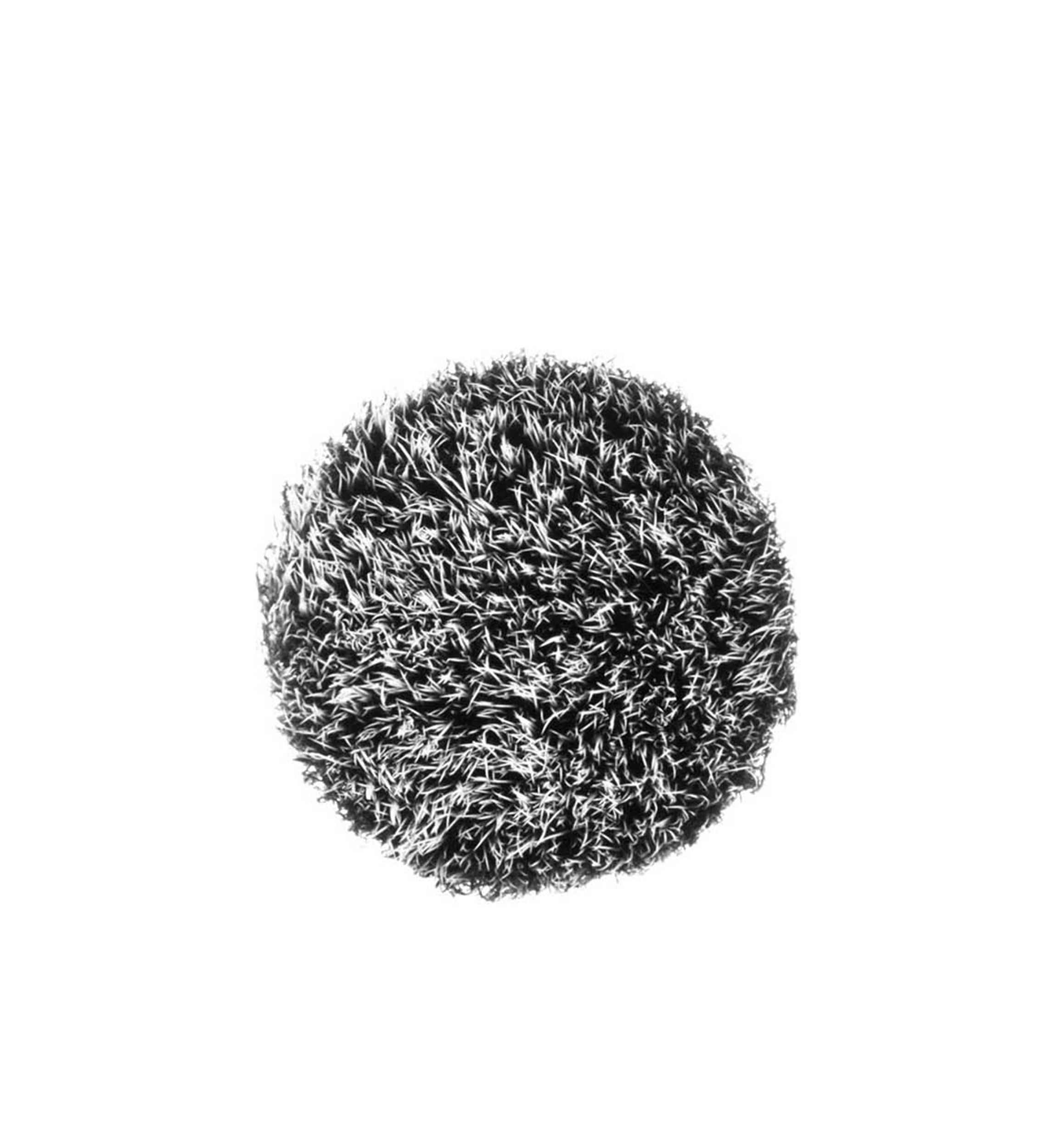 130S Short Duo Fiber Brush