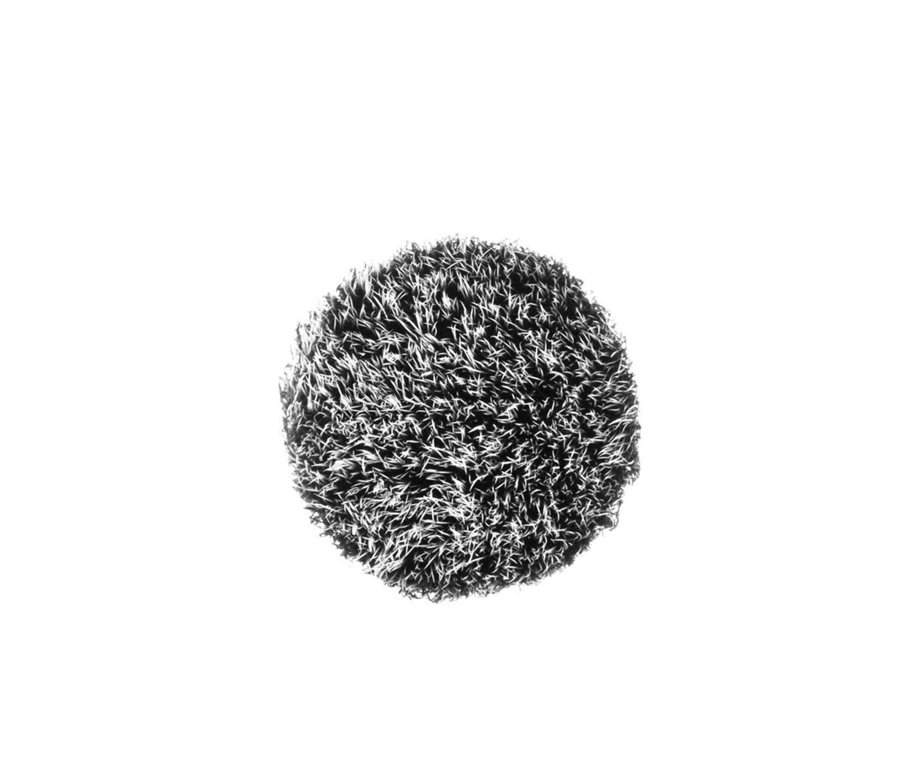 130S Short Duo Fiber Brush