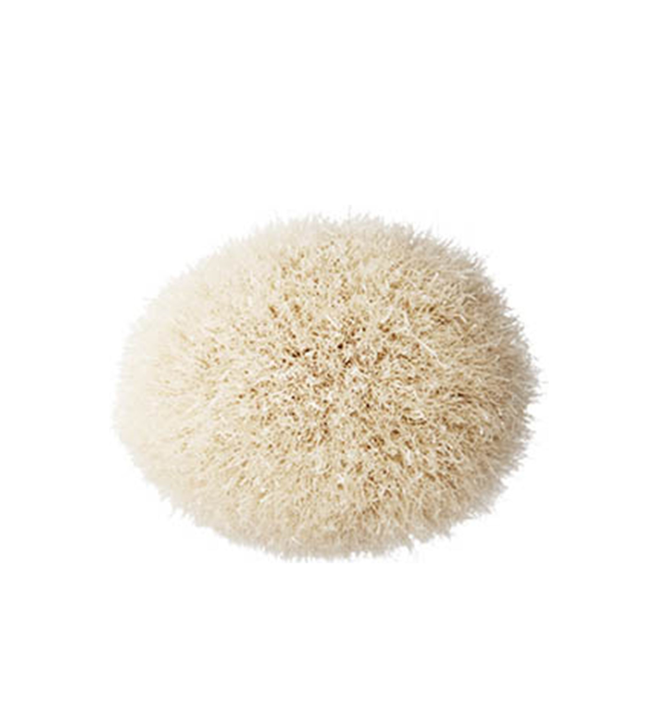168S Large Angled Contour Brush