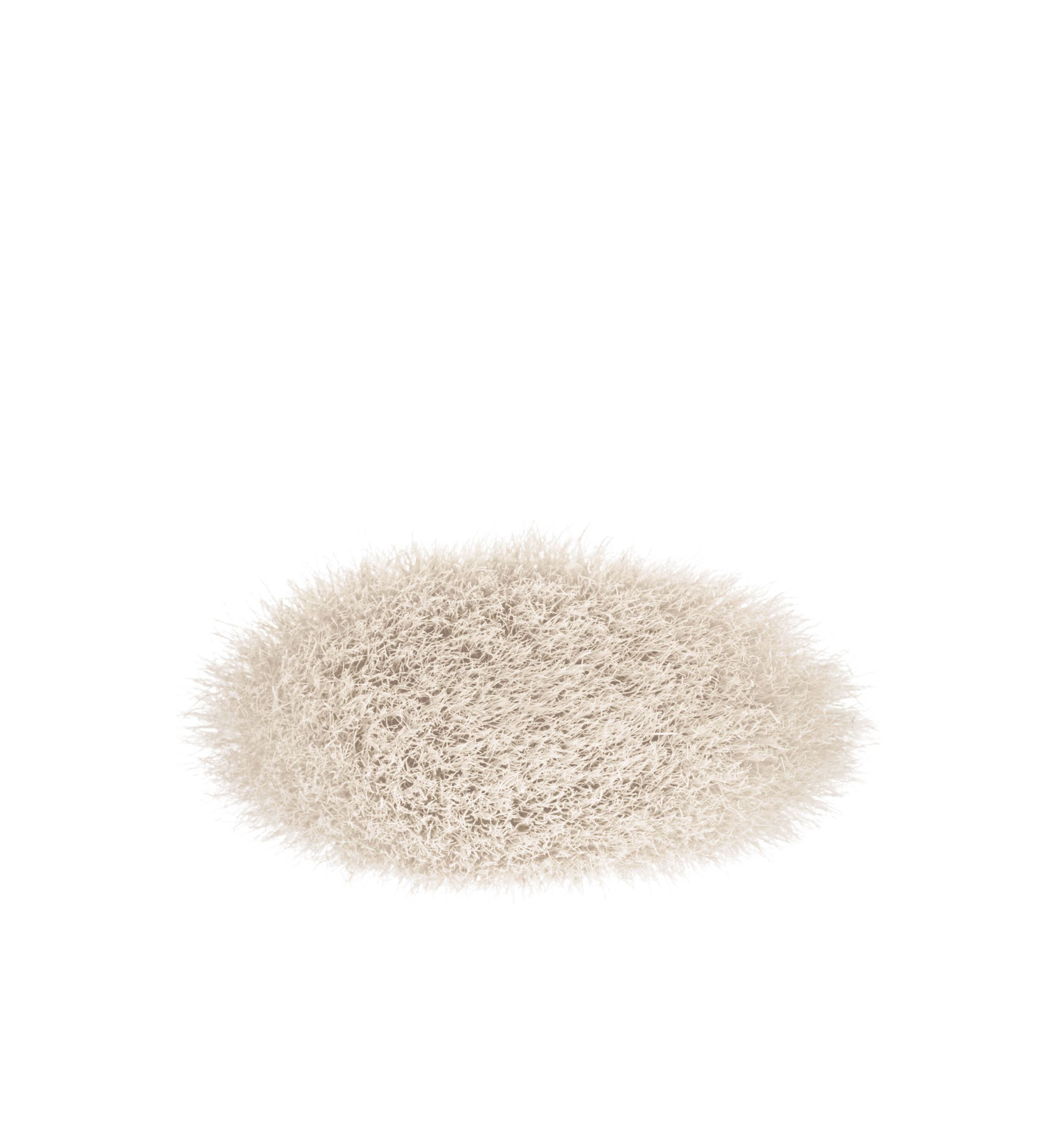 135S Large Flat Powder Brush