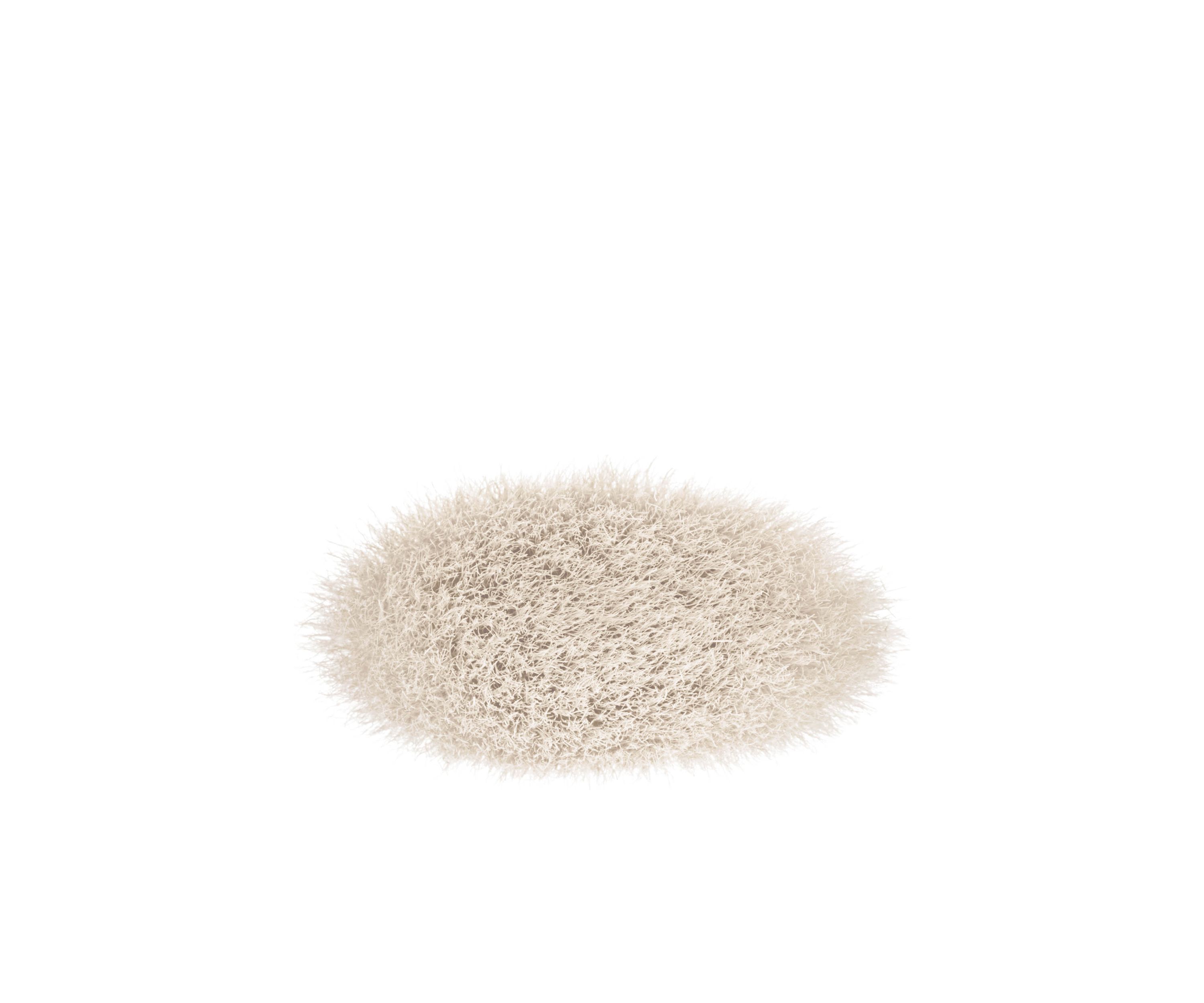 135S Large Flat Powder Brush
