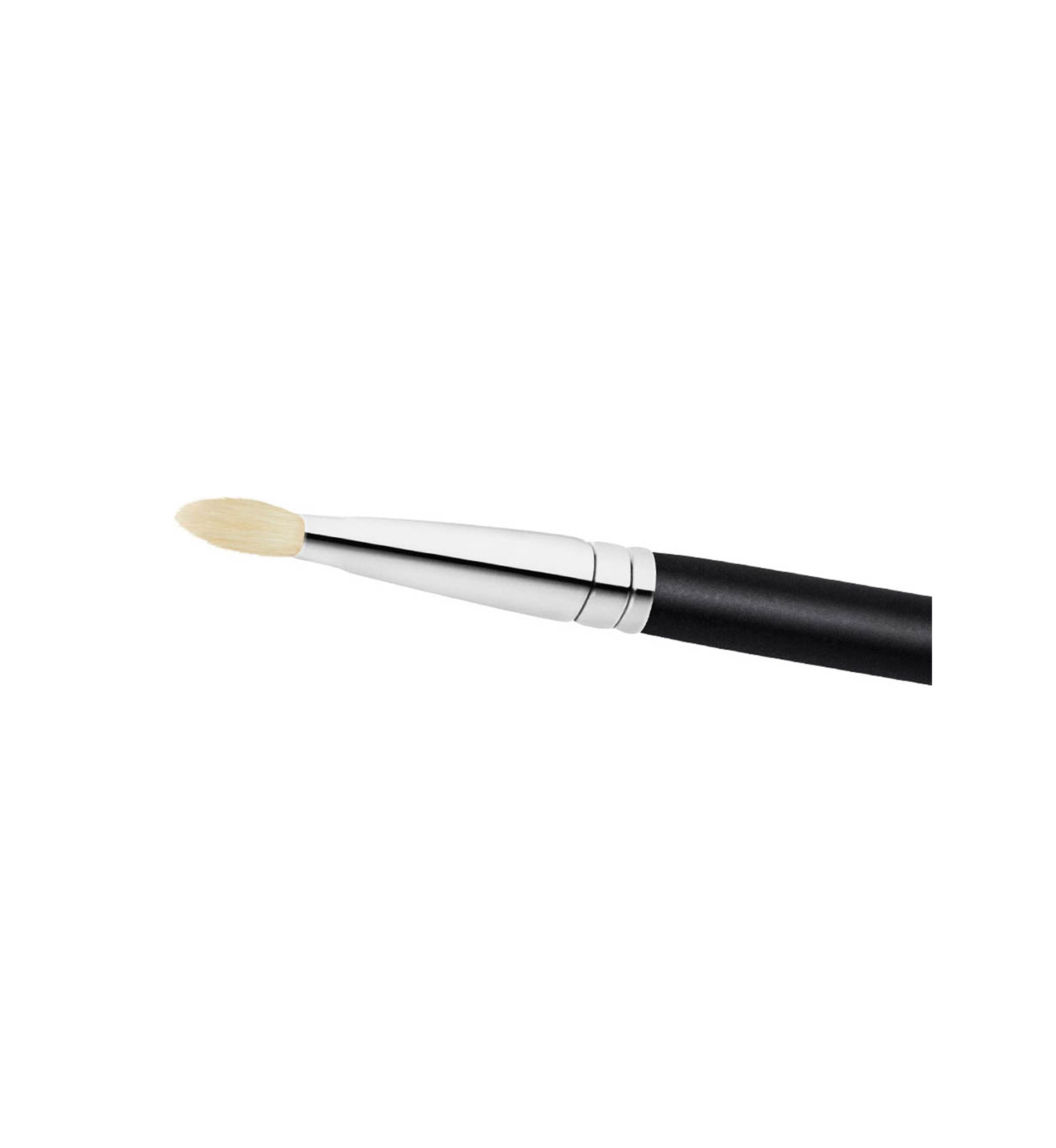 239S Eye Shader Brush