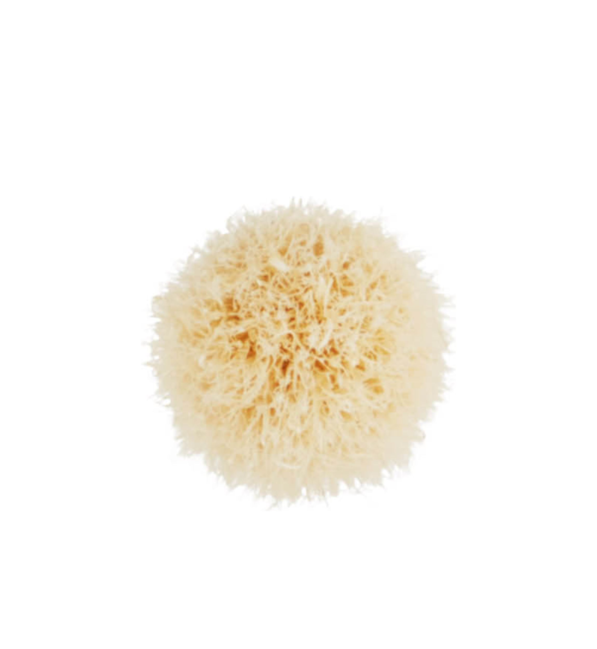221S Mini Tapered Blending Brush