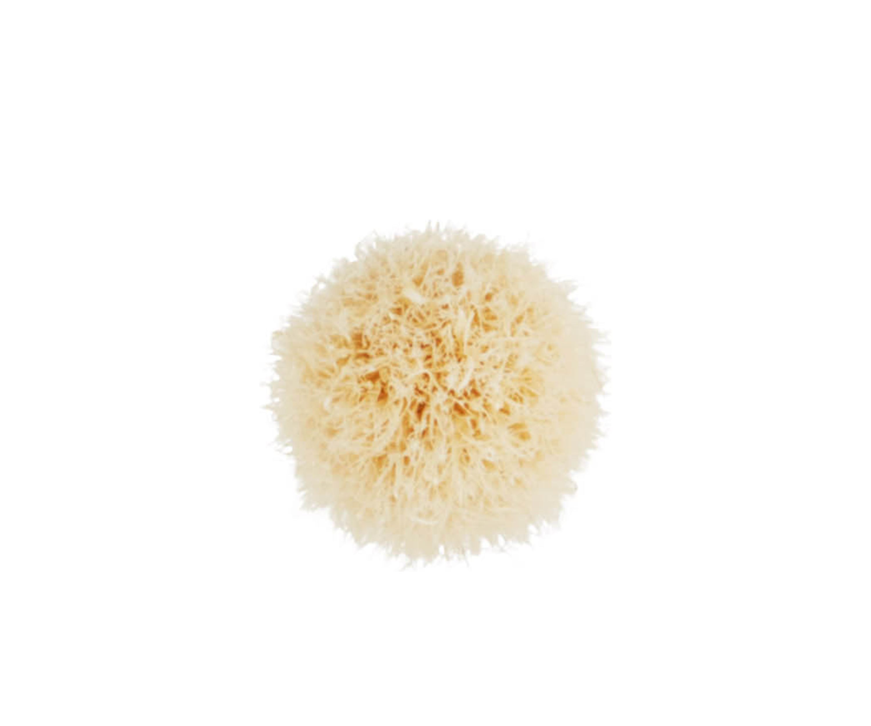 221S Mini Tapered Blending Brush