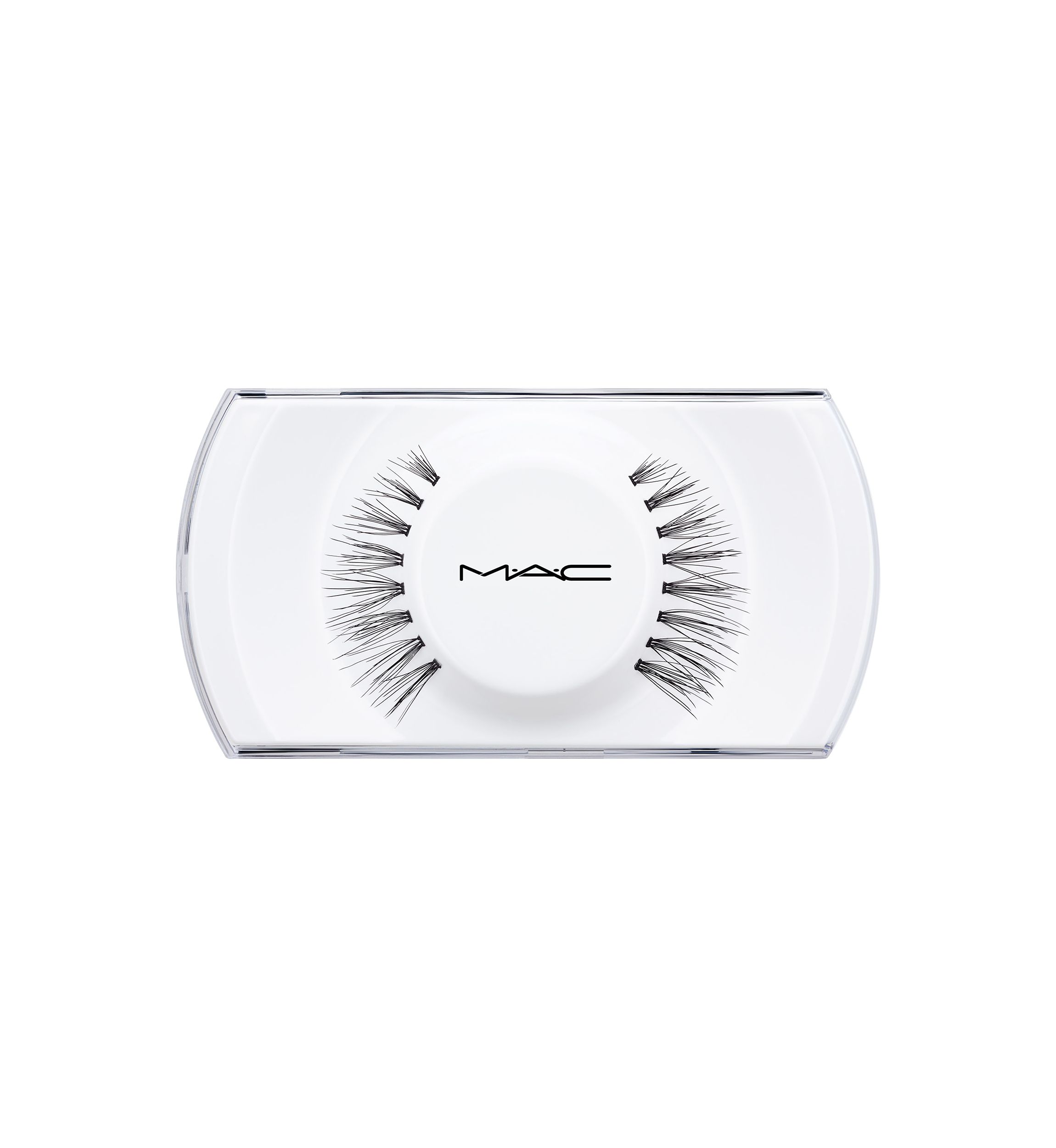  81 Charmer Lash 