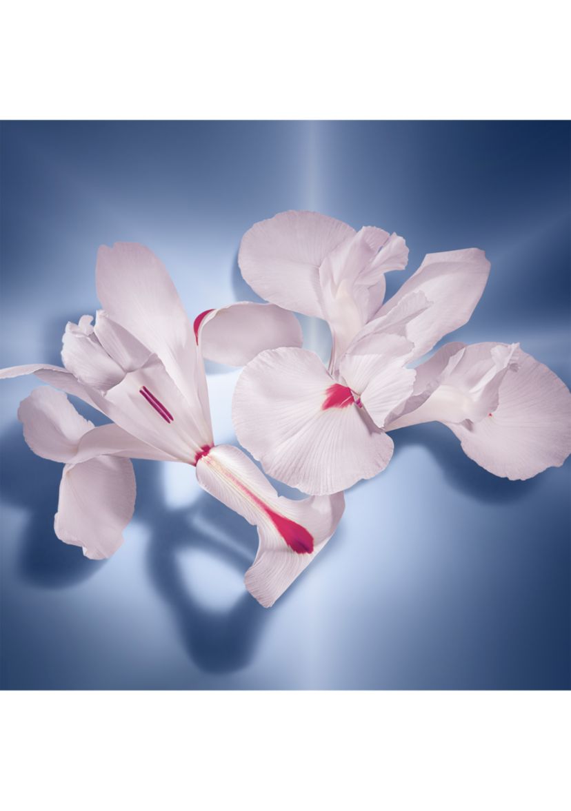 La Vie Est Belle Eau de Parfum 
