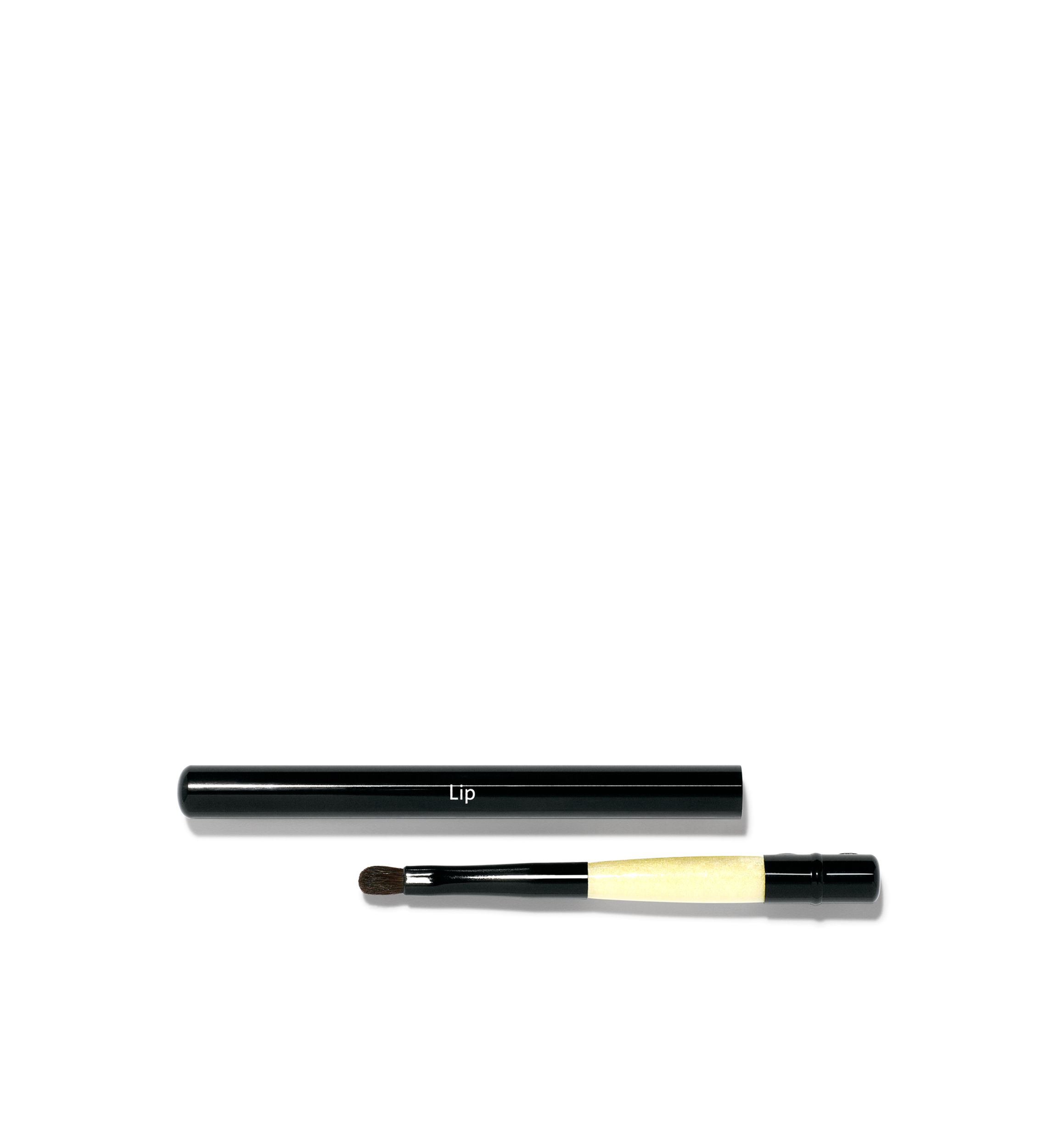 Retractable Lip Brush