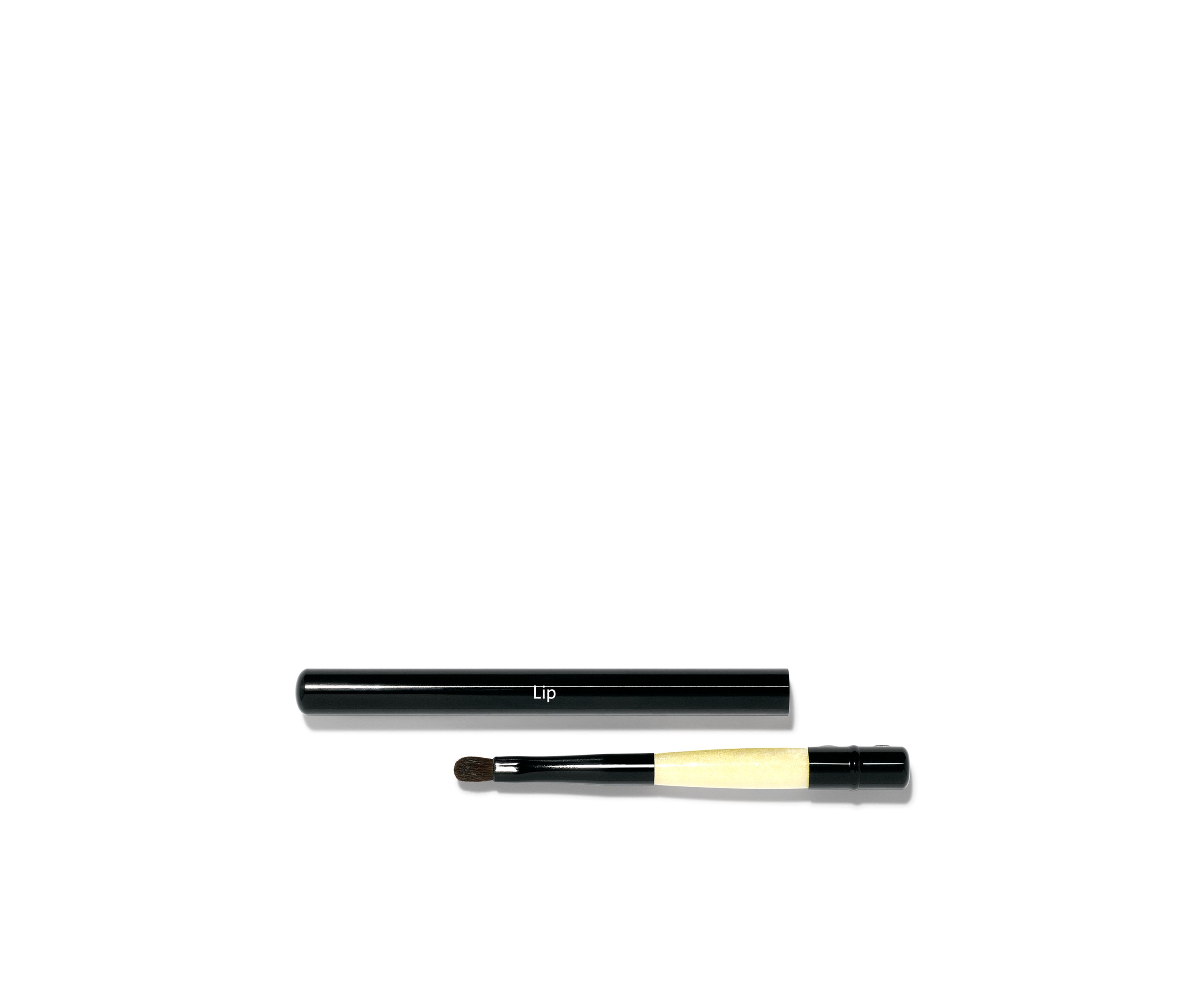 Retractable Lip Brush