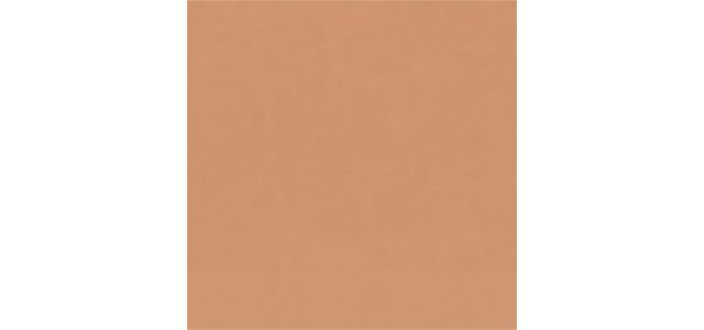 DARK BISQUE
