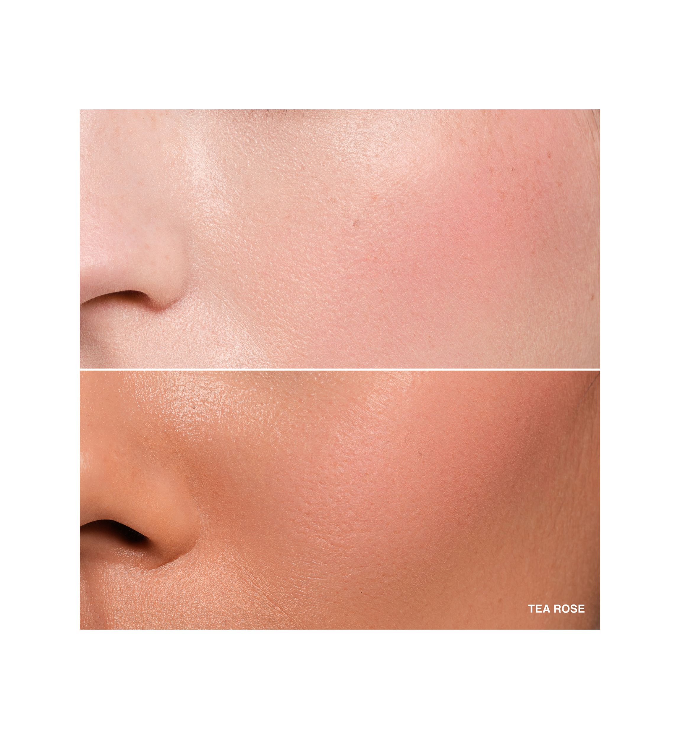 Pot Rouge Velvet Matte Cream Blush for Cheeks & Lips